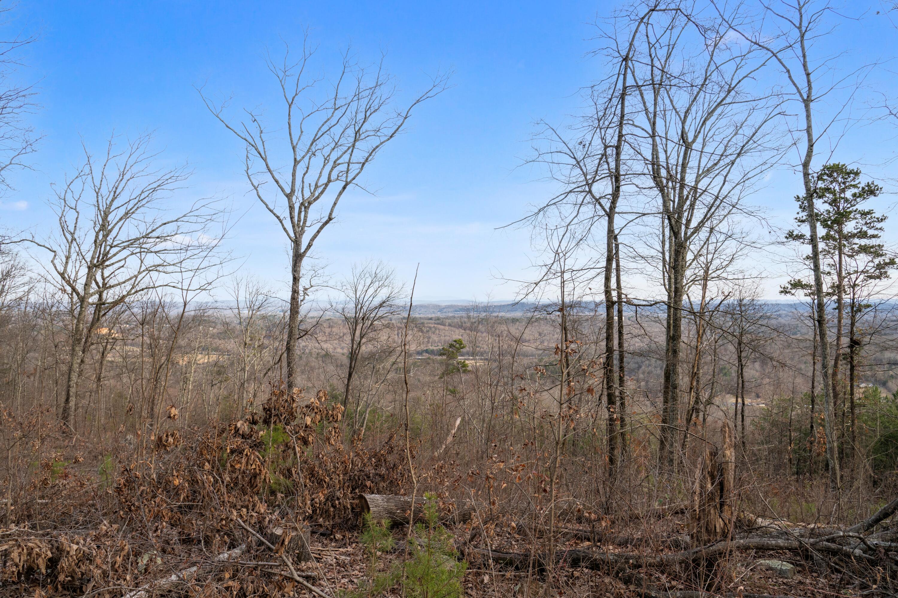 974 Bluff Ledge Trail