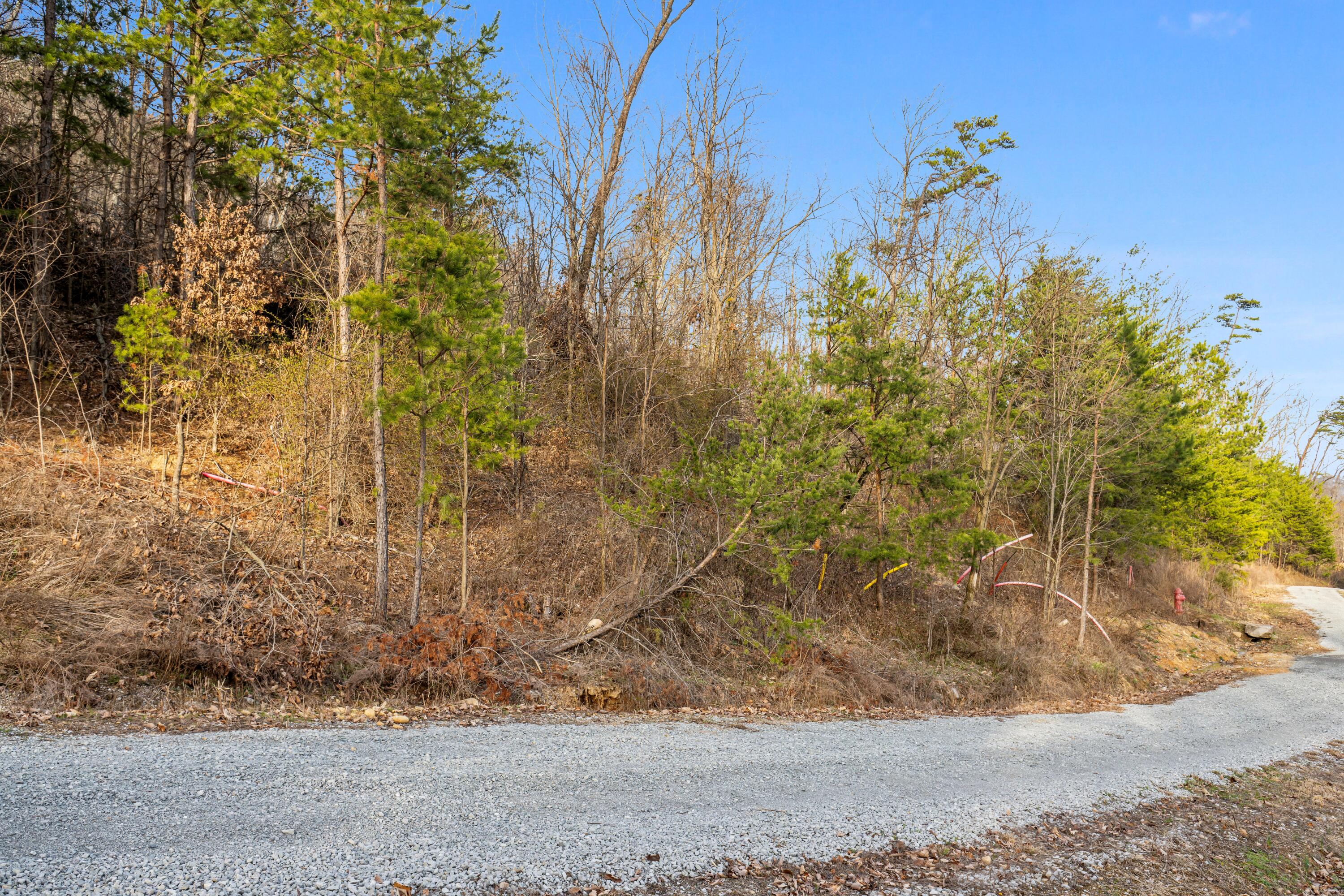 974 Bluff Ledge Trail