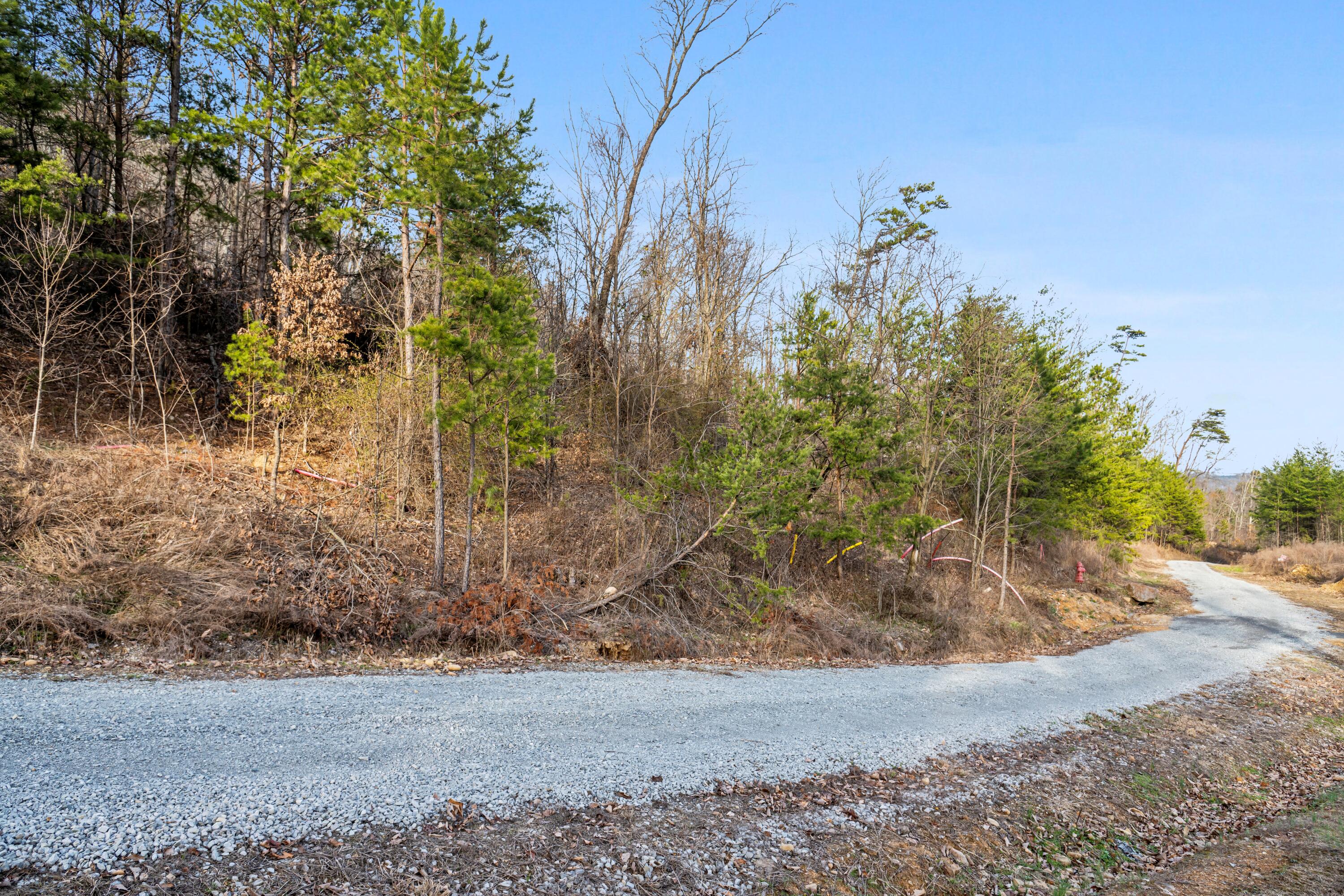 974 Bluff Ledge Trail