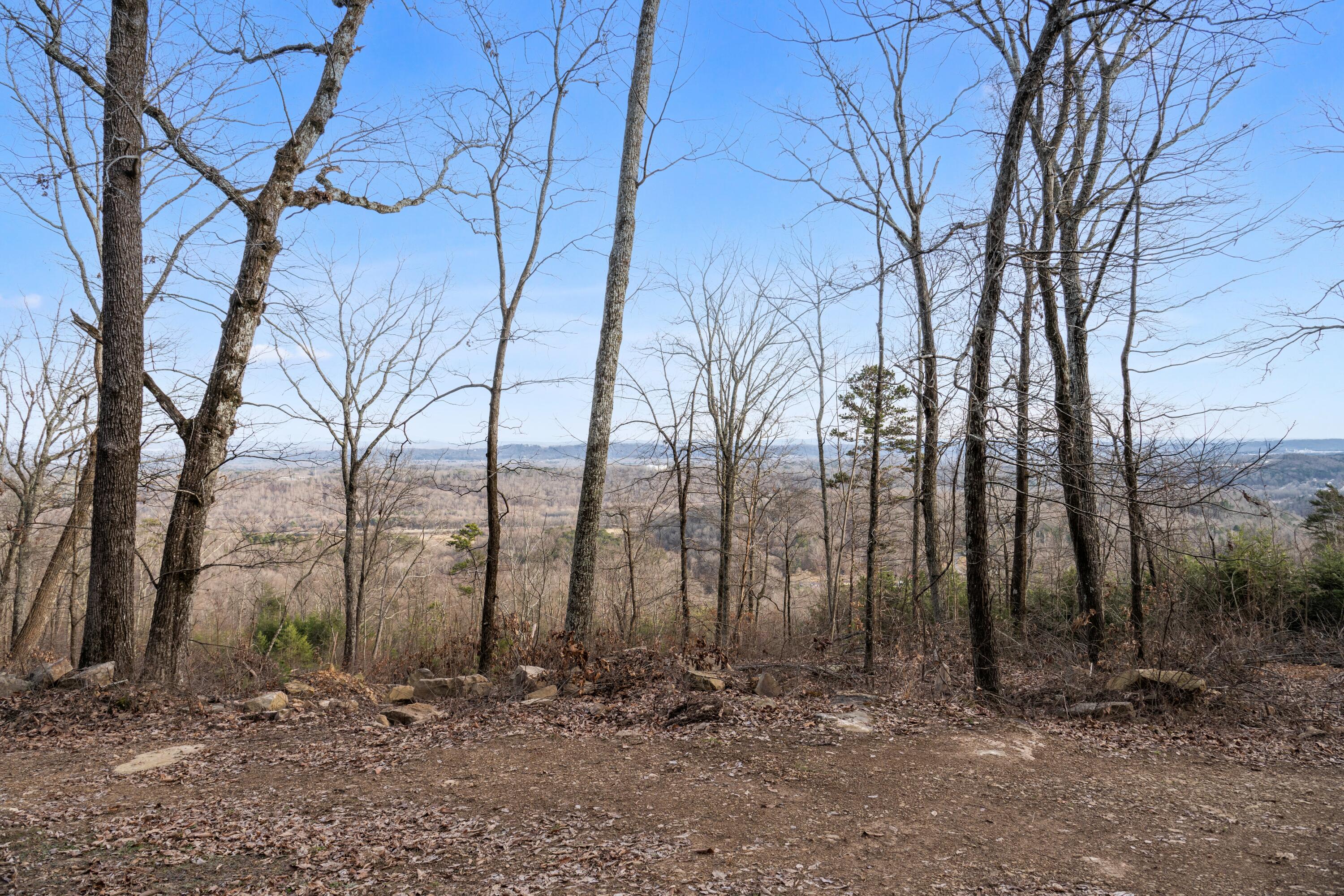 974 Bluff Ledge Trail