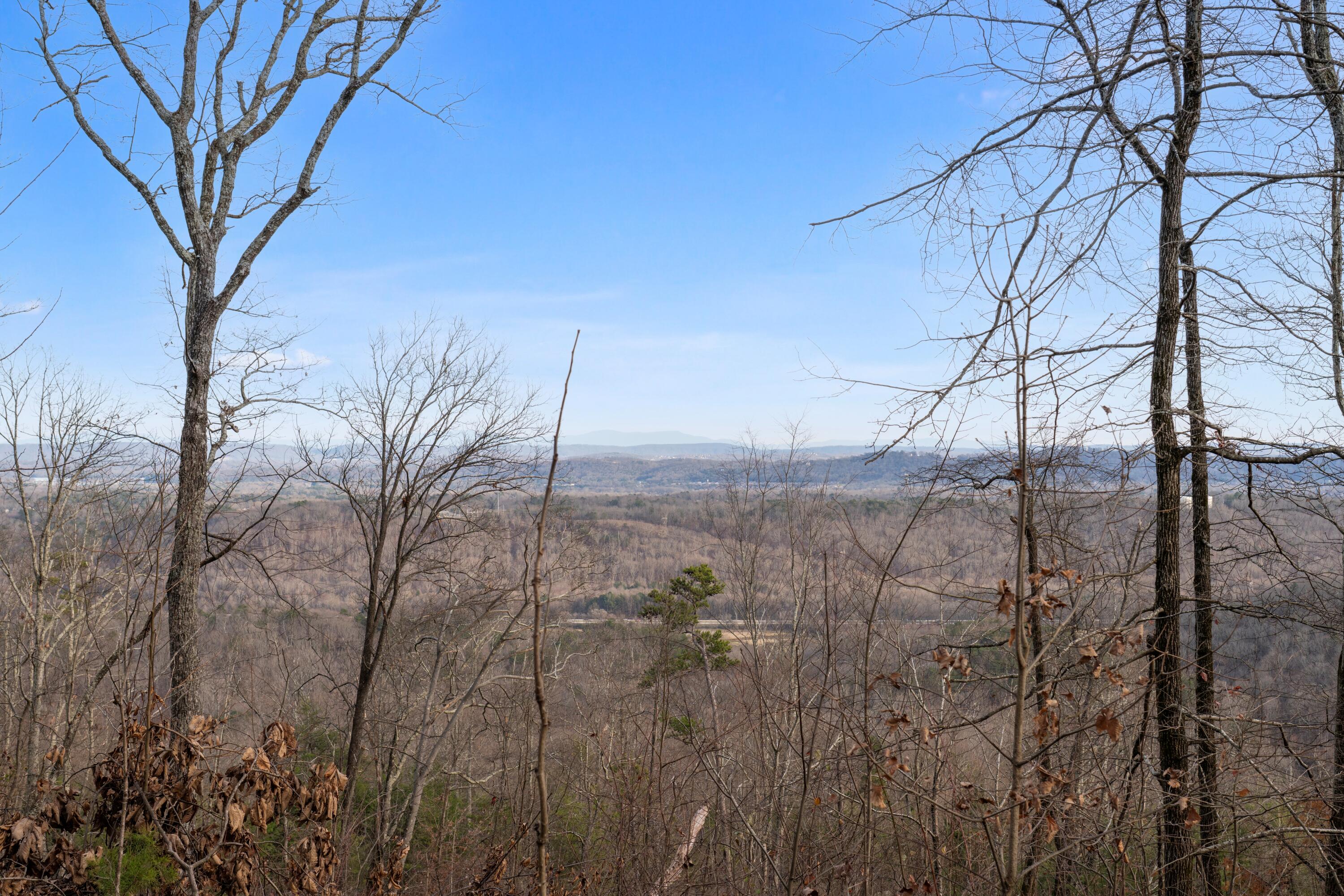 974 Bluff Ledge Trail