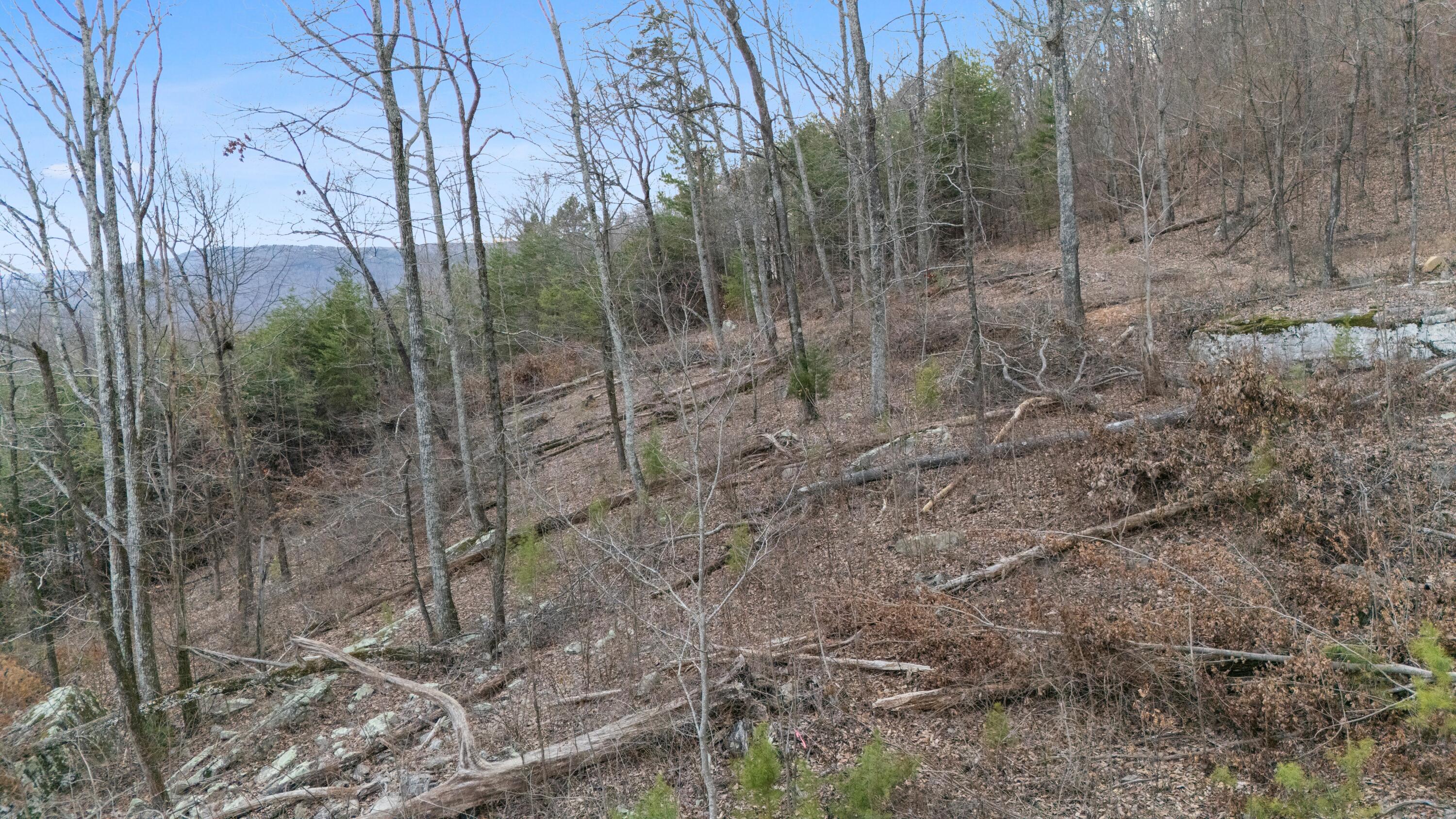 974 Bluff Ledge Trail