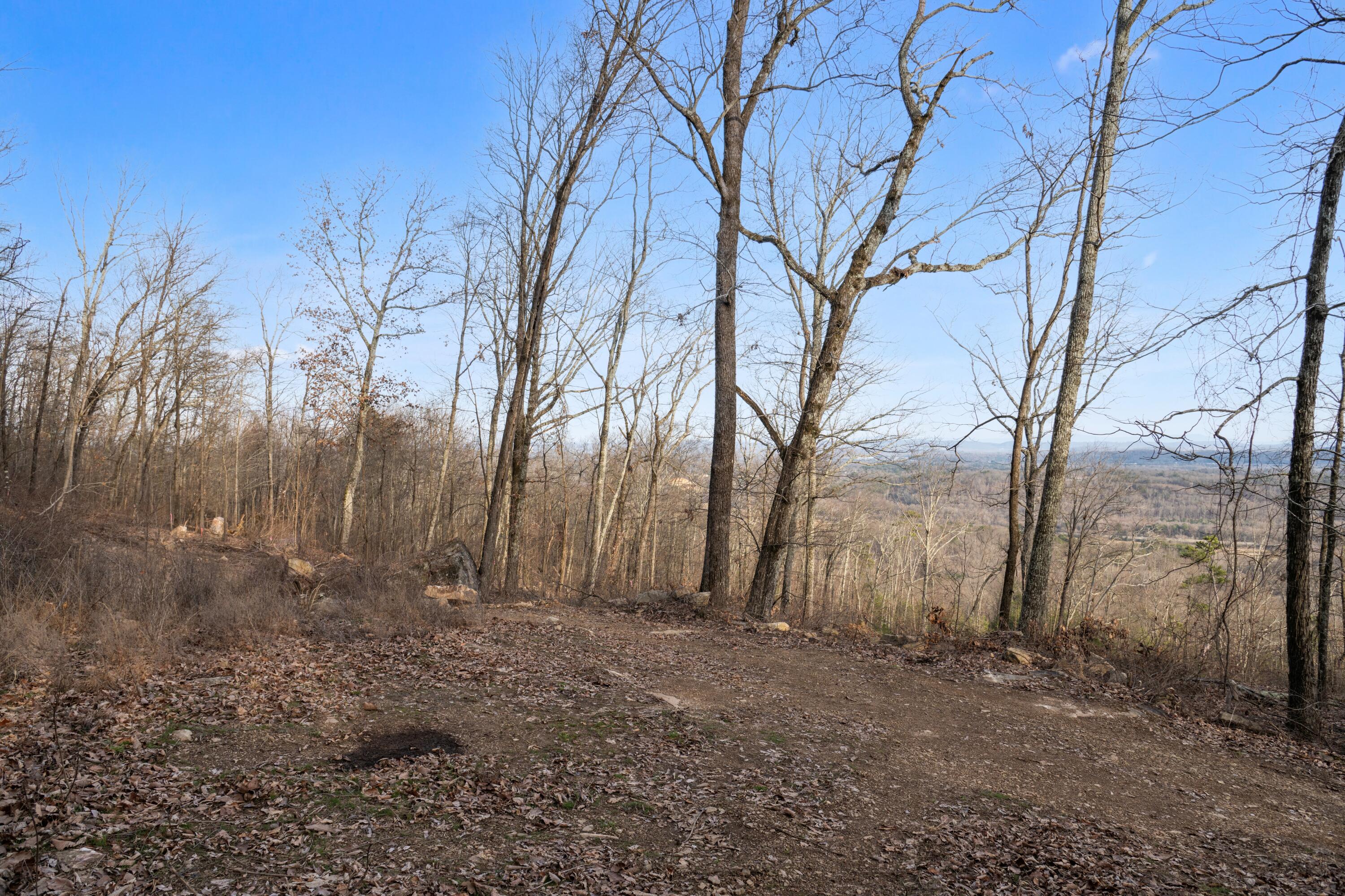 974 Bluff Ledge Trail