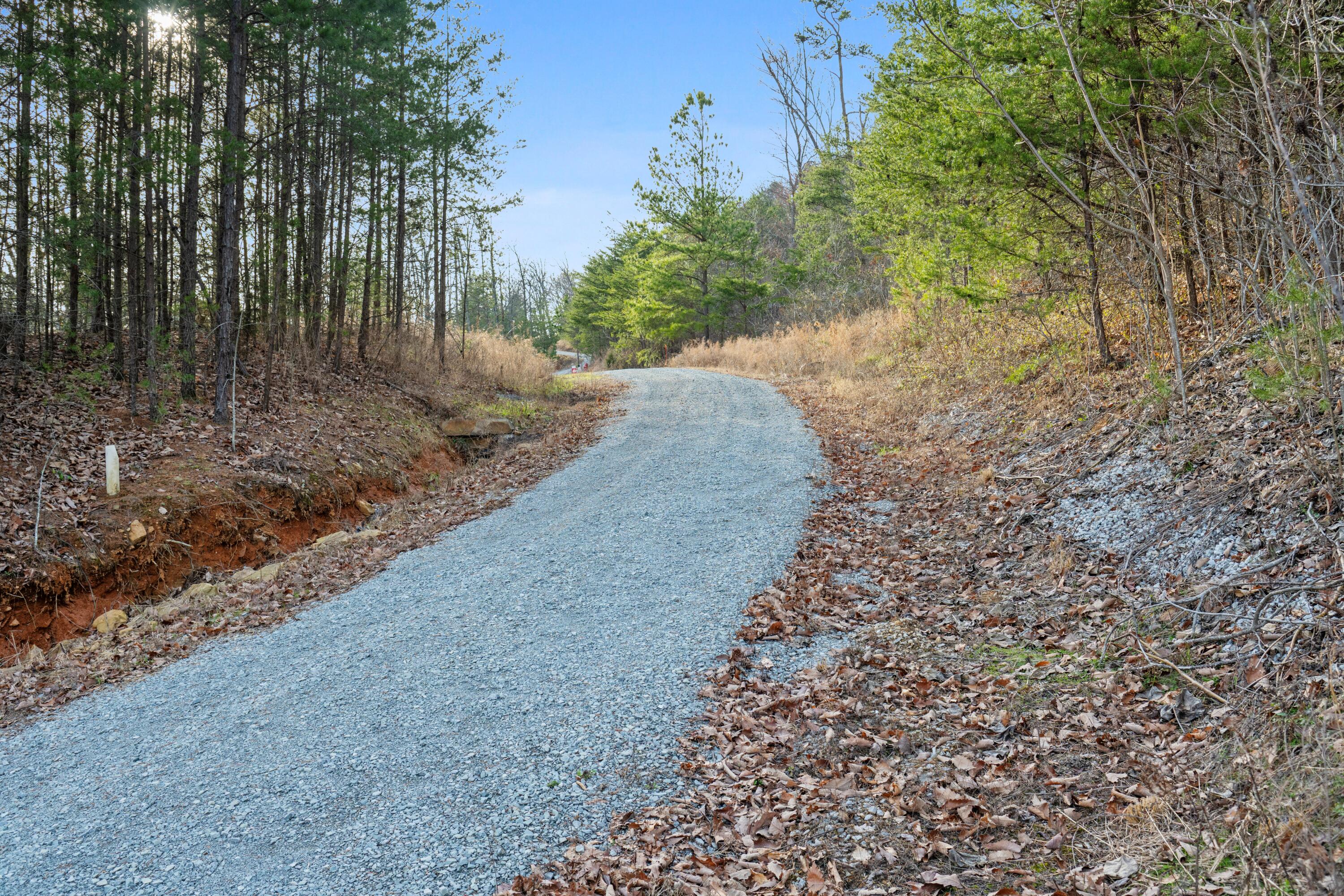 974 Bluff Ledge Trail
