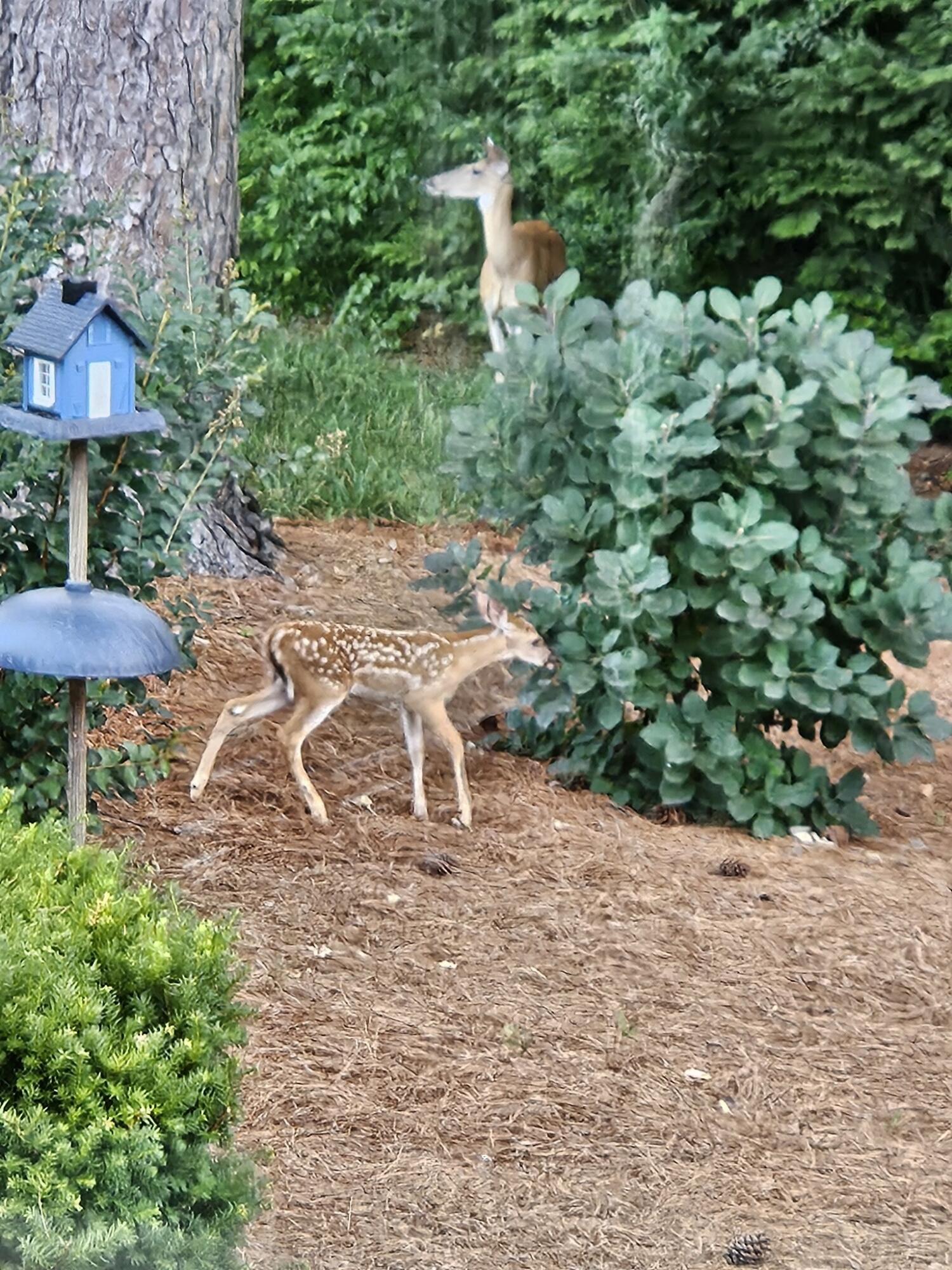 11190 Captains Cove Drive