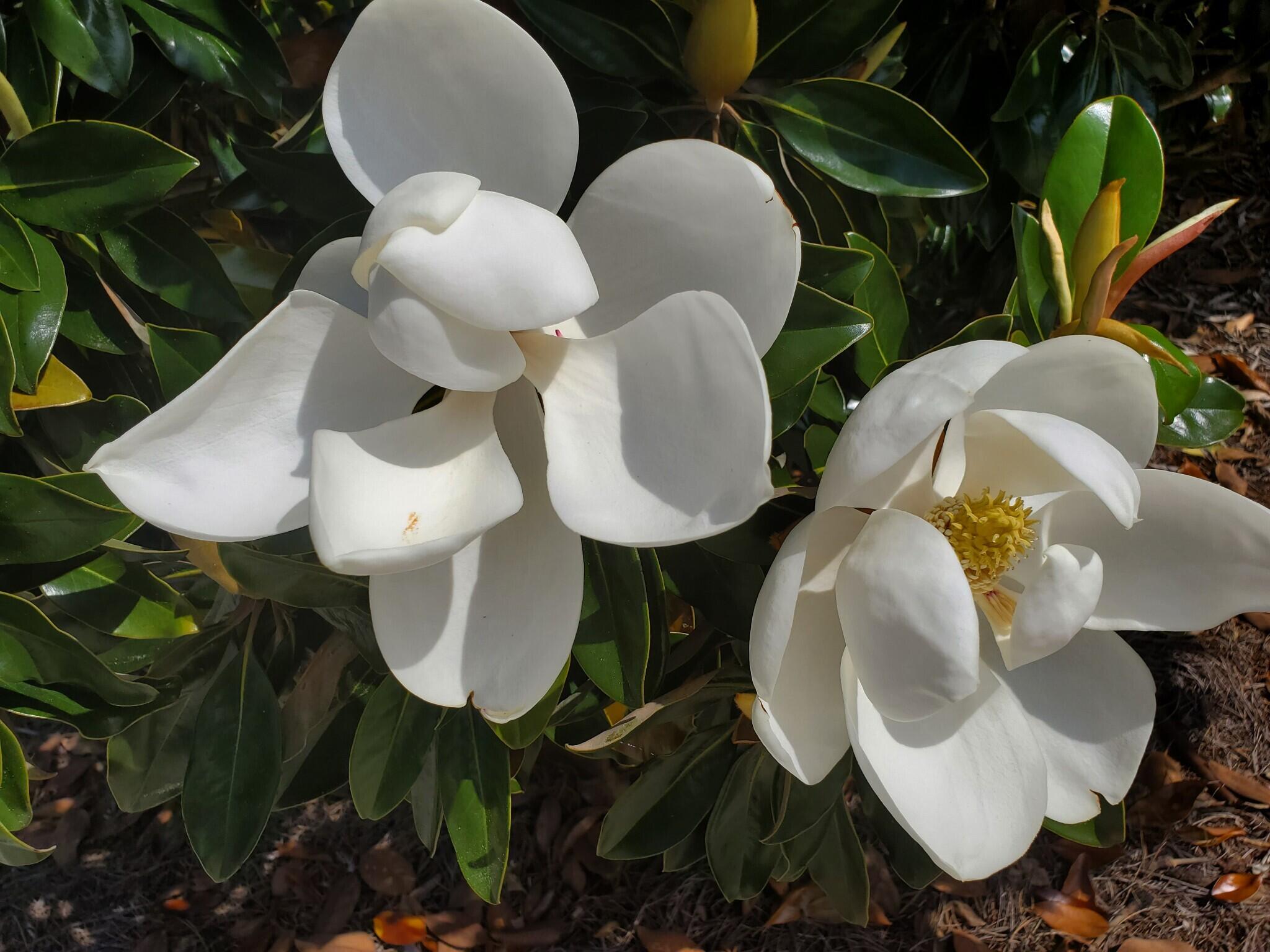 11190 Captains Cove Drive