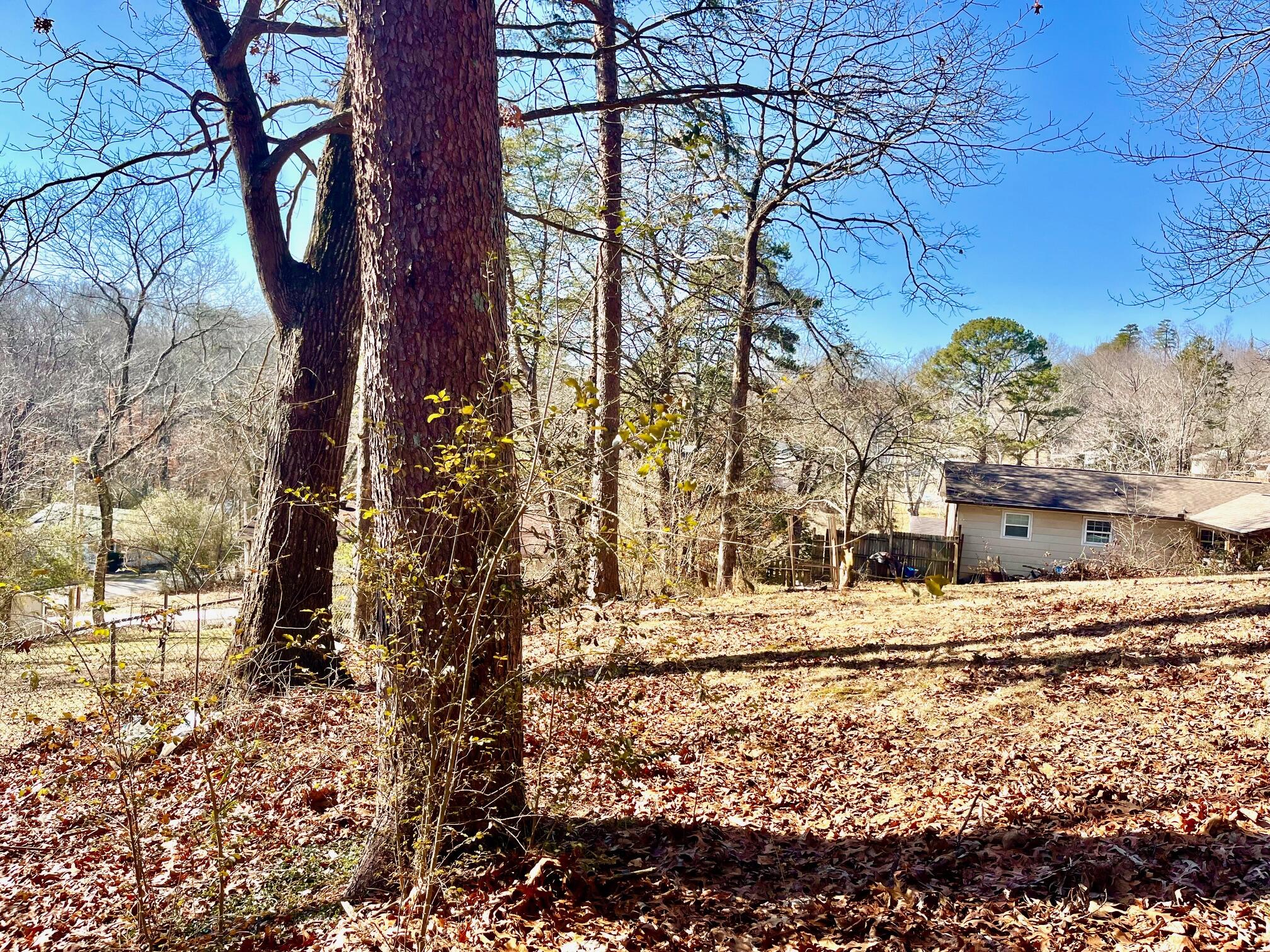 6606 Hillbrook Lane