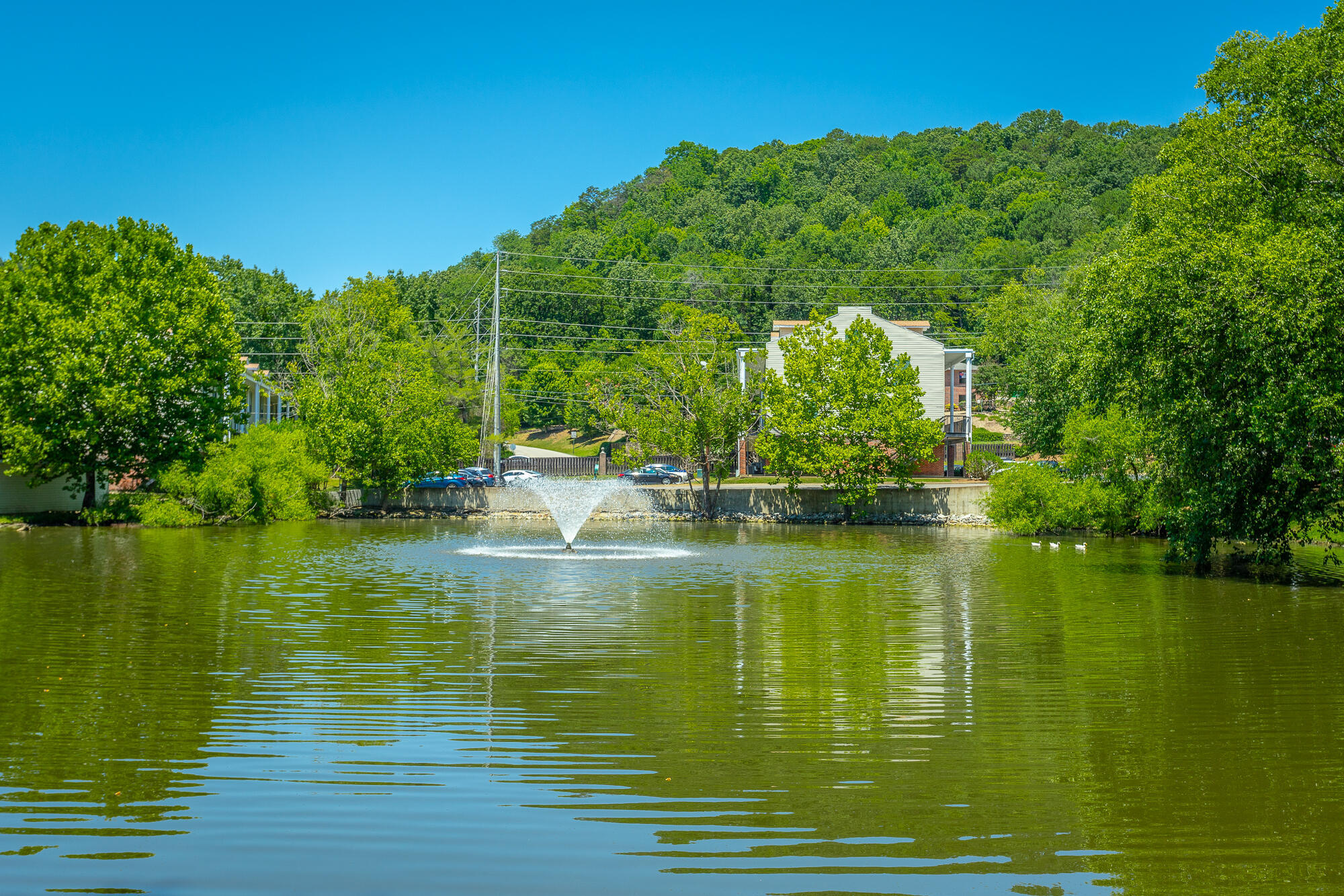 900 Mountain Creek Road, A 12