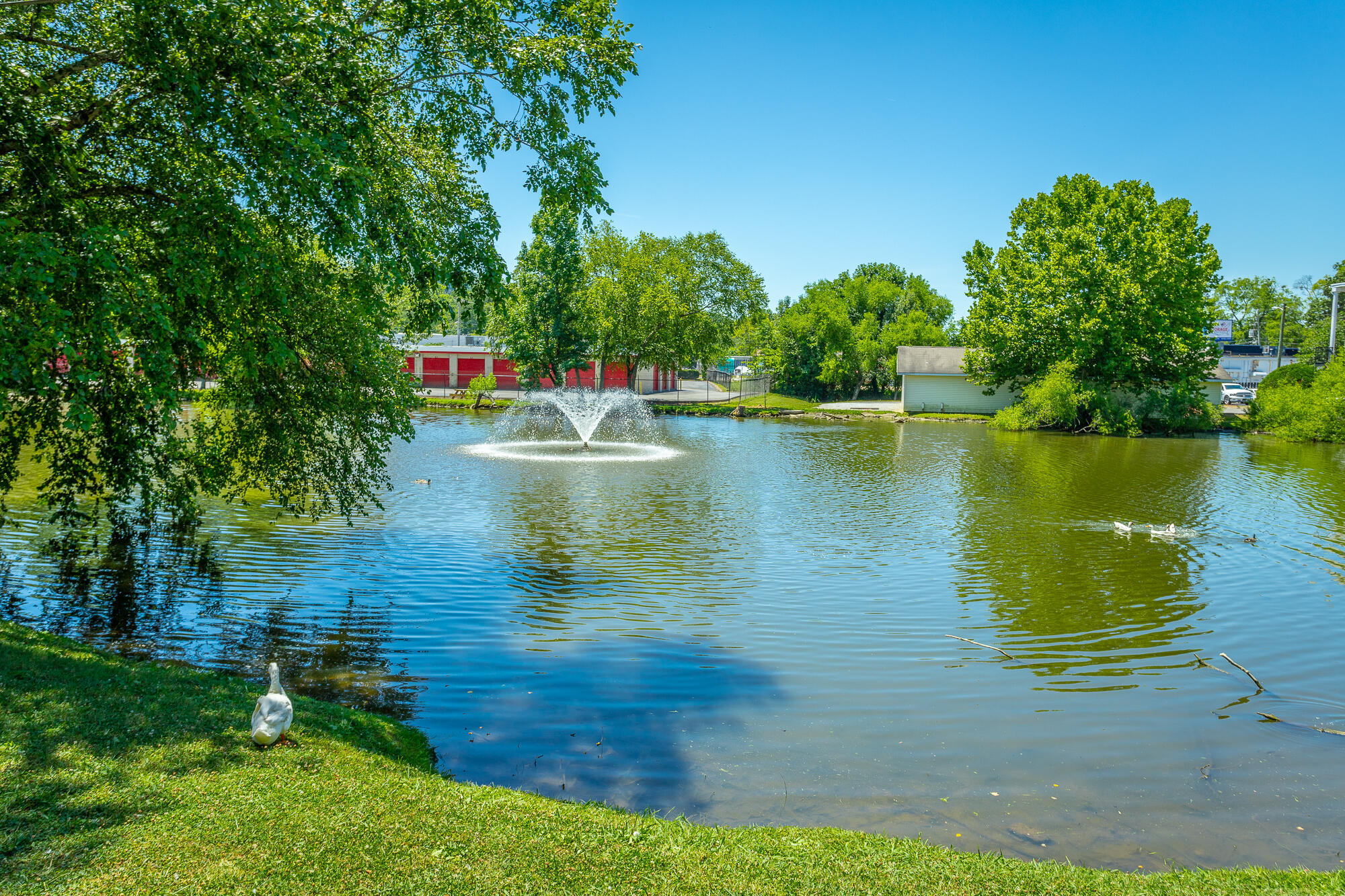 900 Mountain Creek Road, A 12