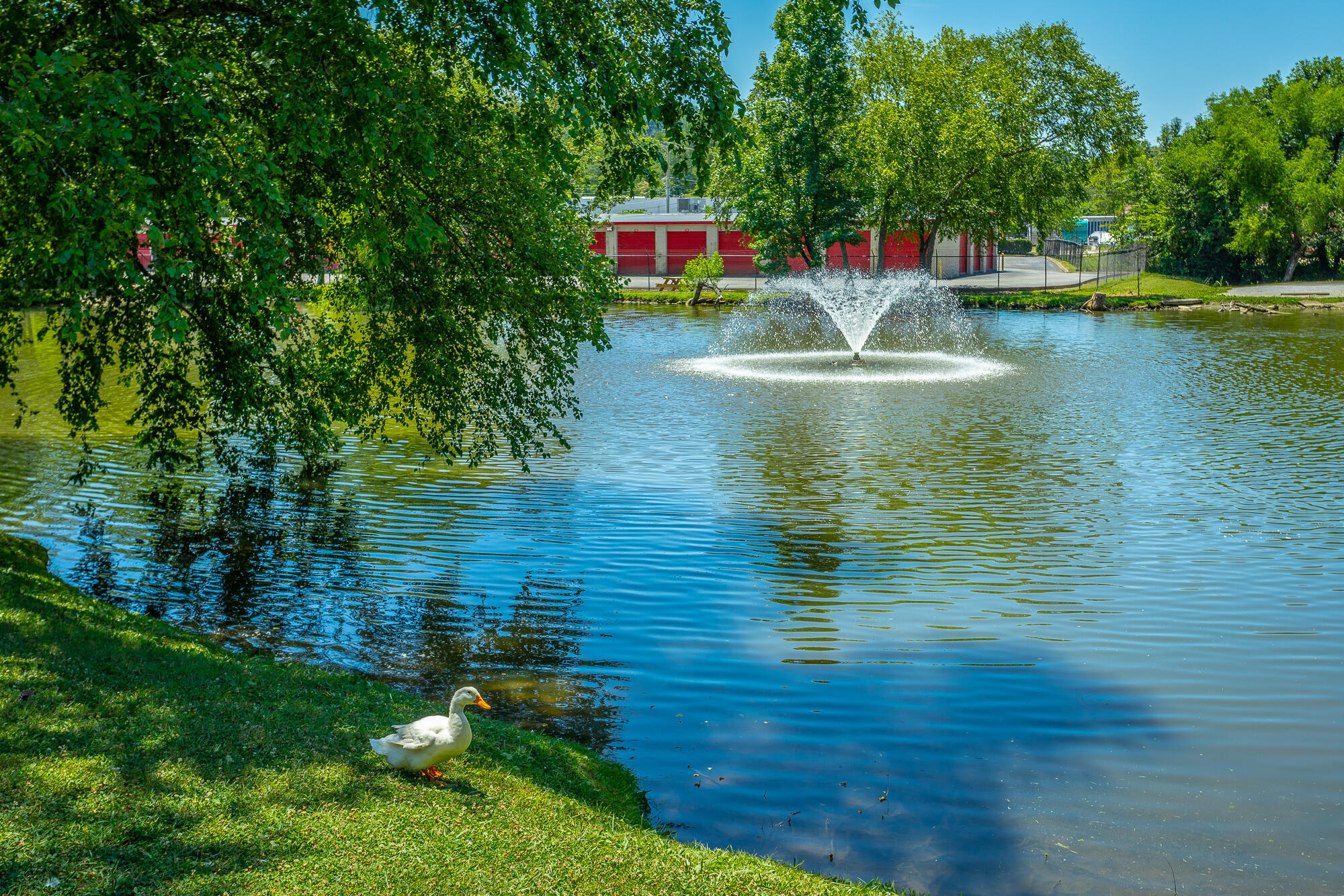 900 Mountain Creek Road, A 12