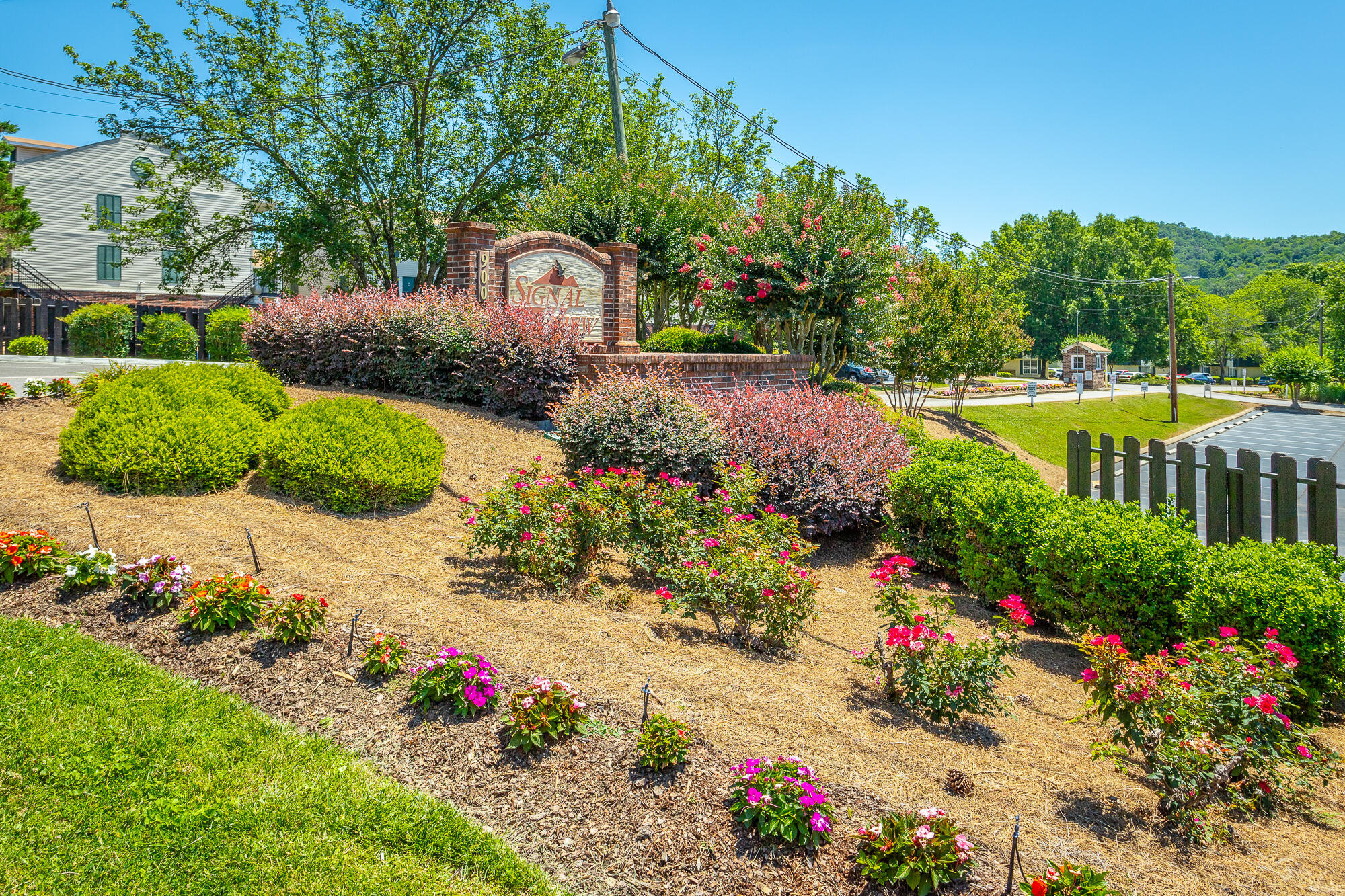 900 Mountain Creek Road, A 12