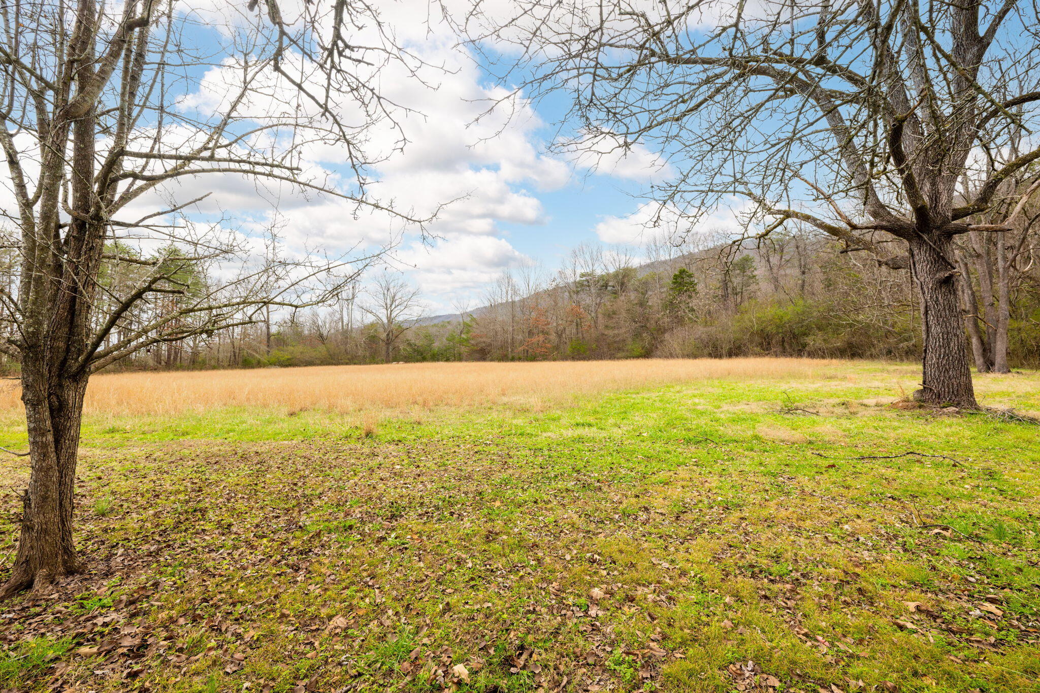 2861 Old Dunlap Rd Road