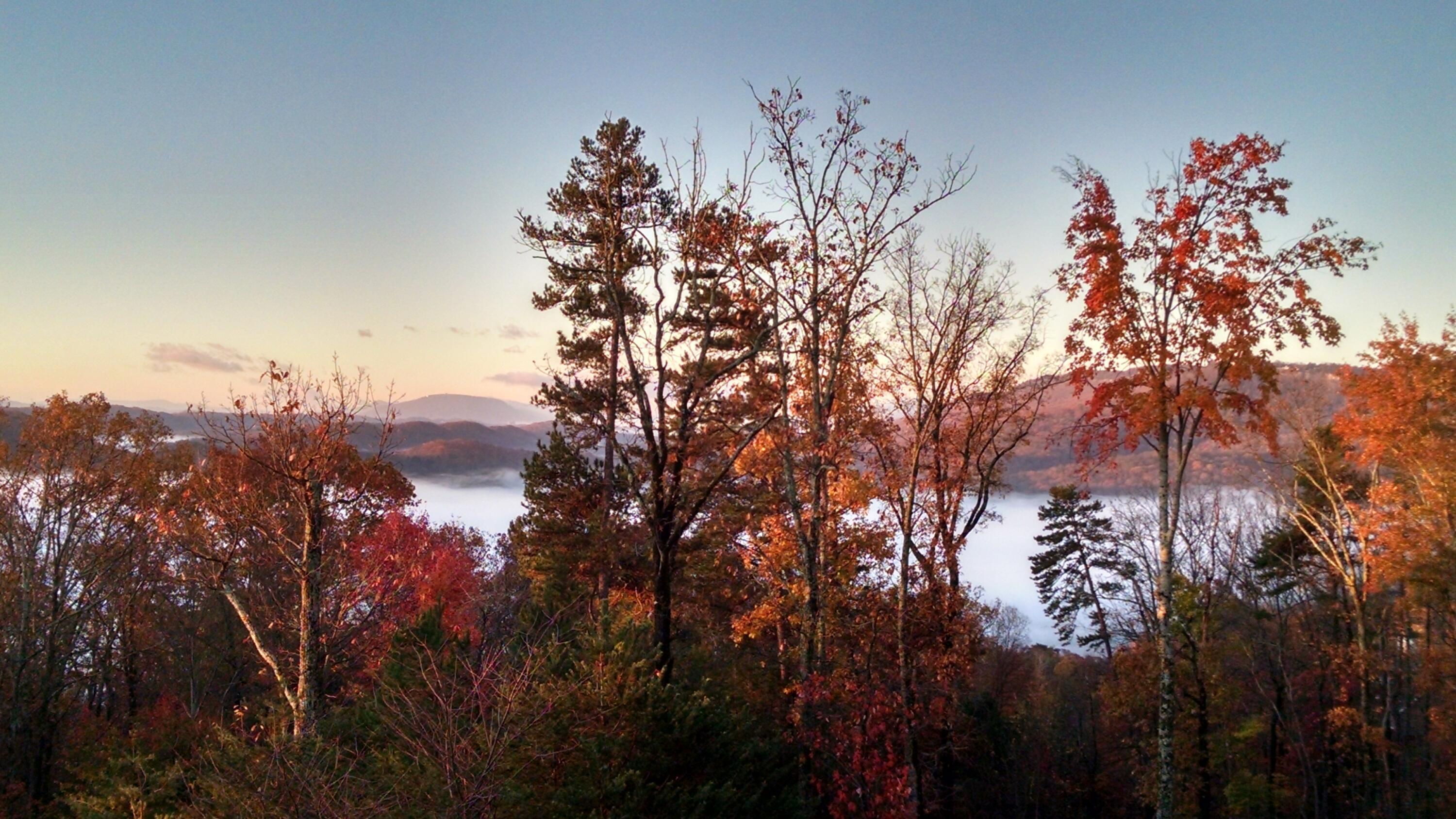 7859 Rocky Ledge Drive