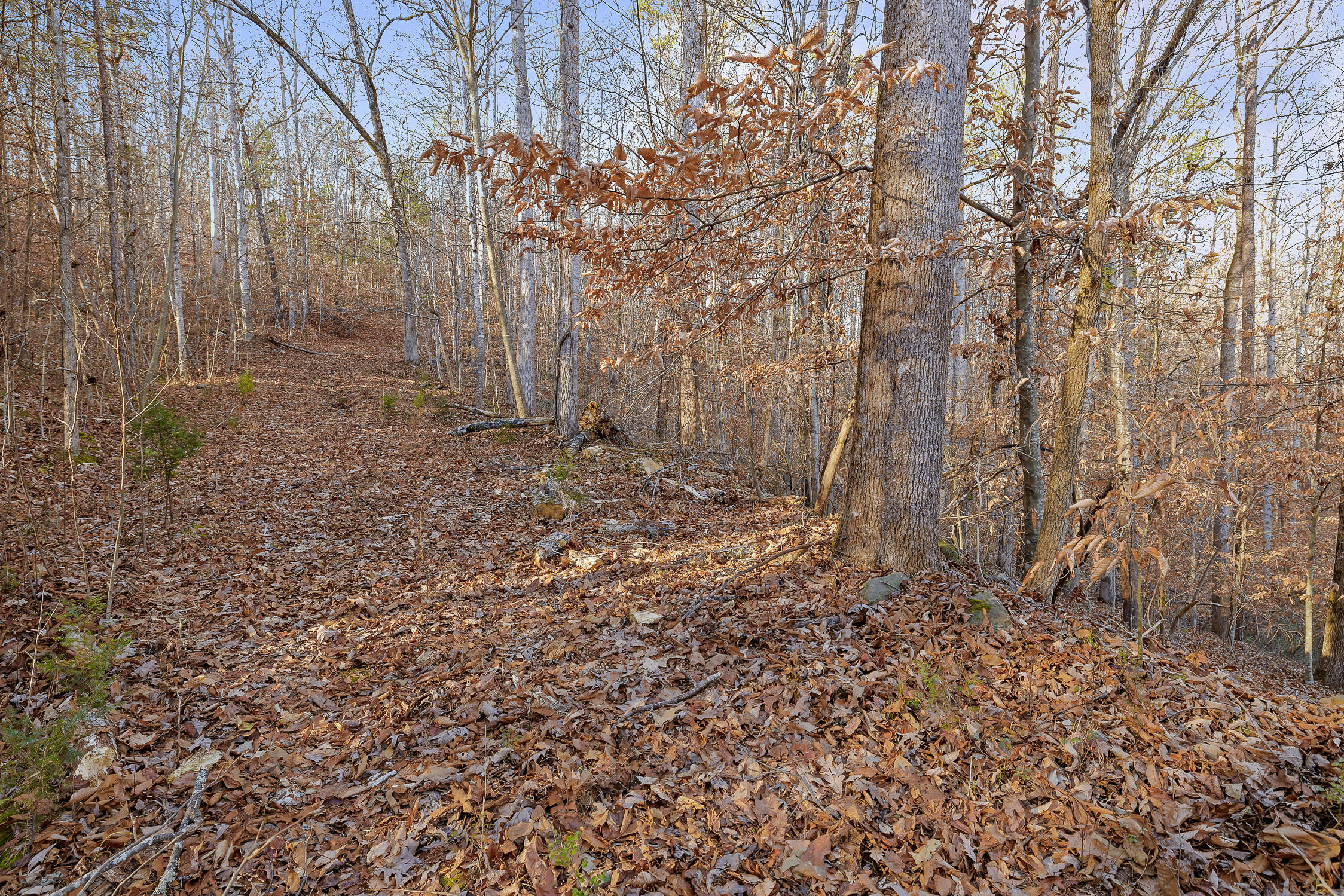 1158 Pryor Cove Road