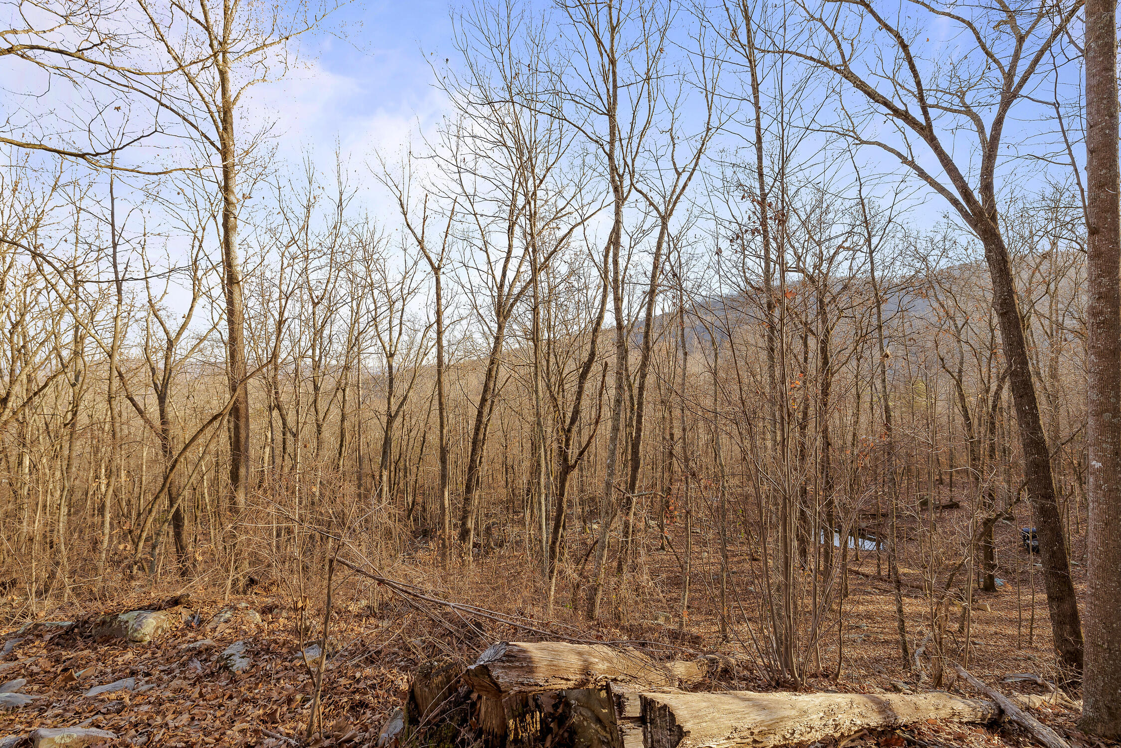 1158 Pryor Cove Road