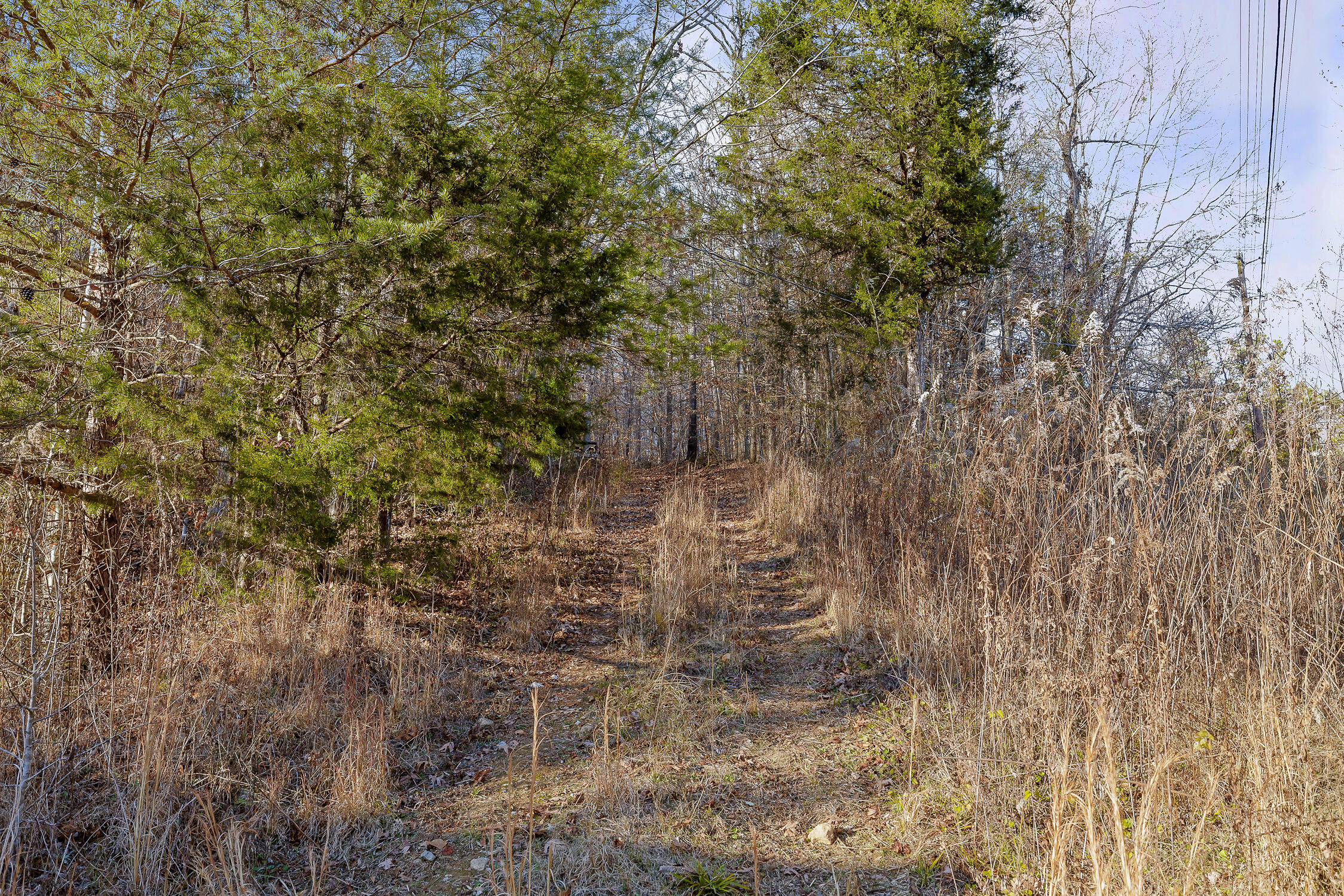 1158 Pryor Cove Road