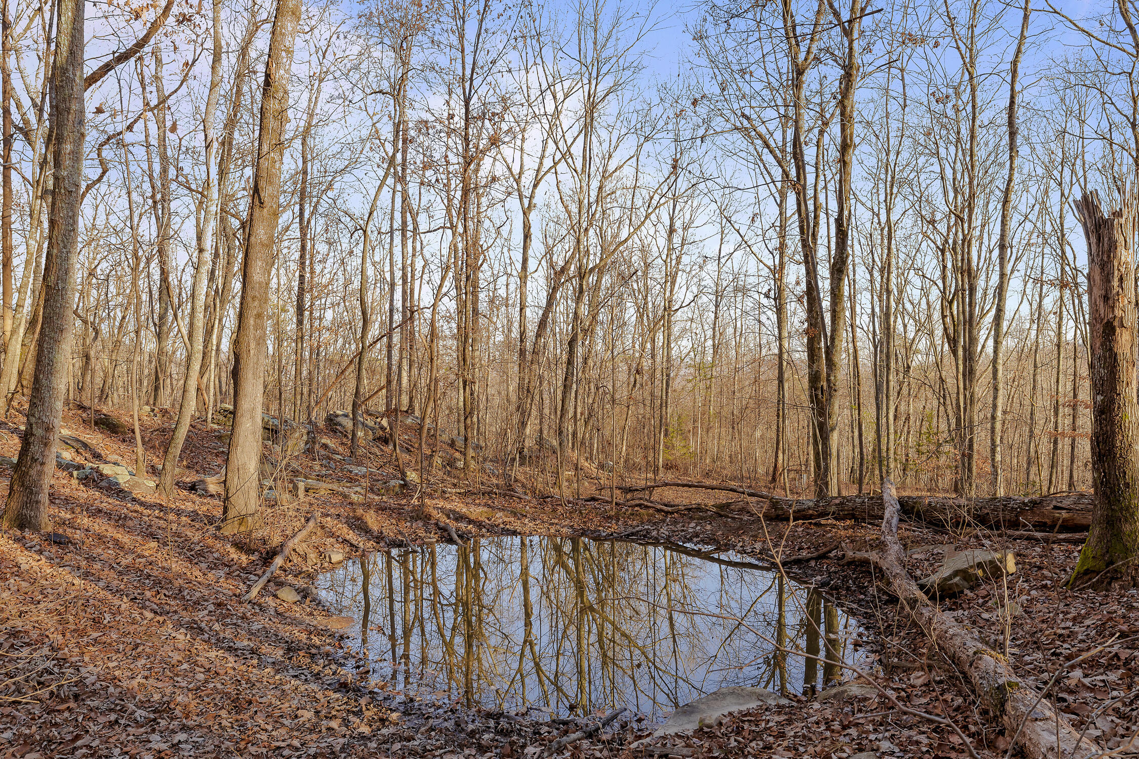 1158 Pryor Cove Road