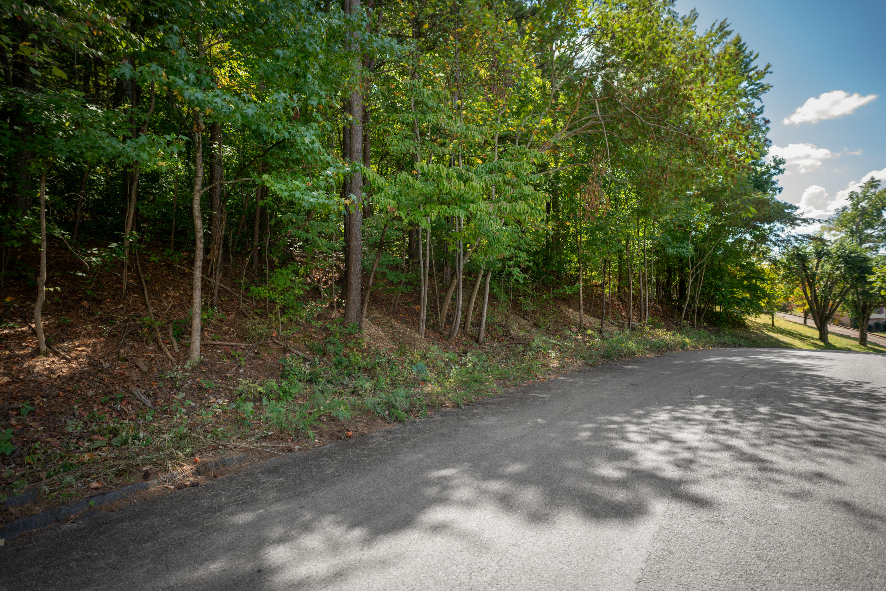1714 Spring View Lane