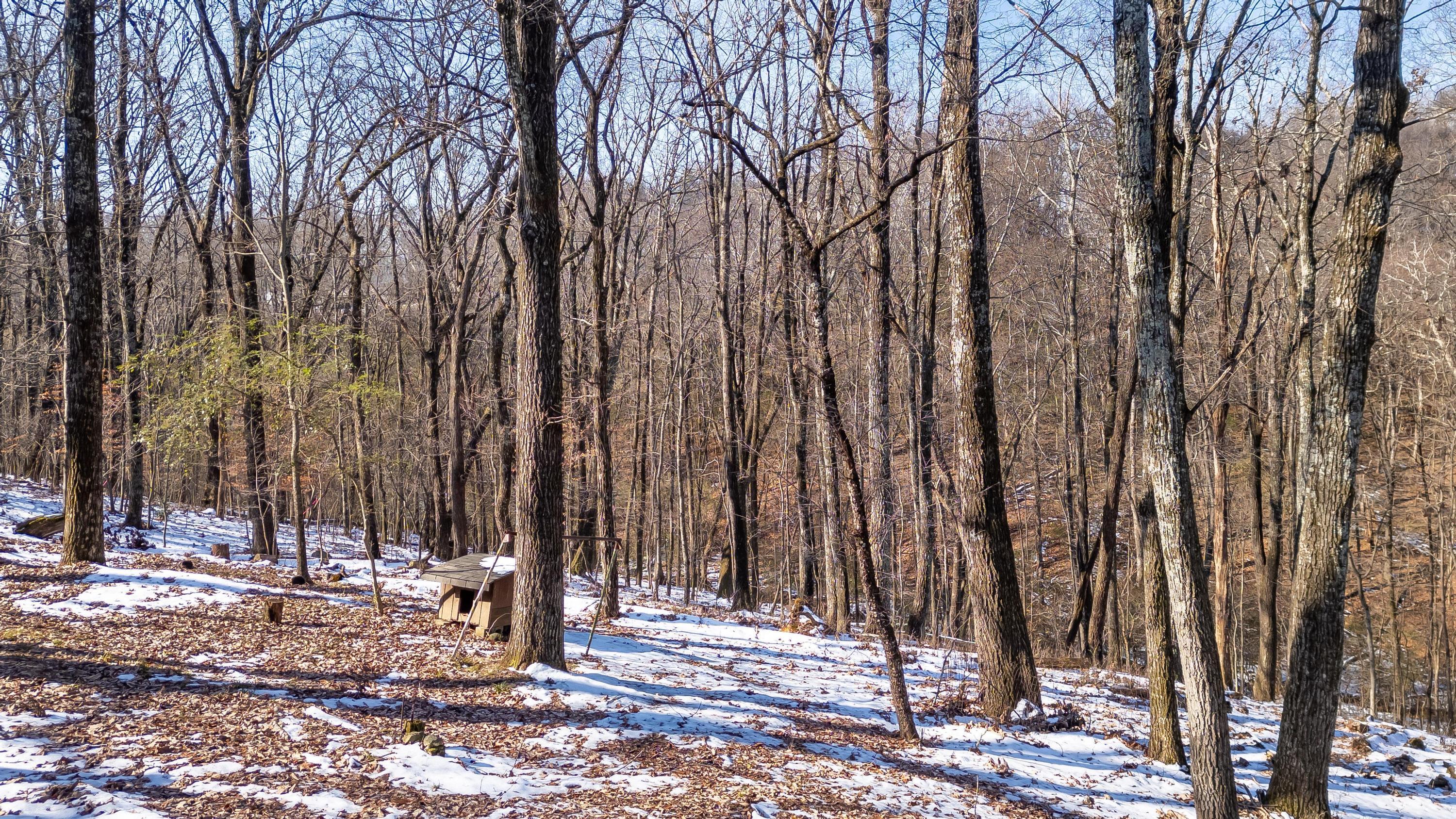 1725 Colonial Shores Drive