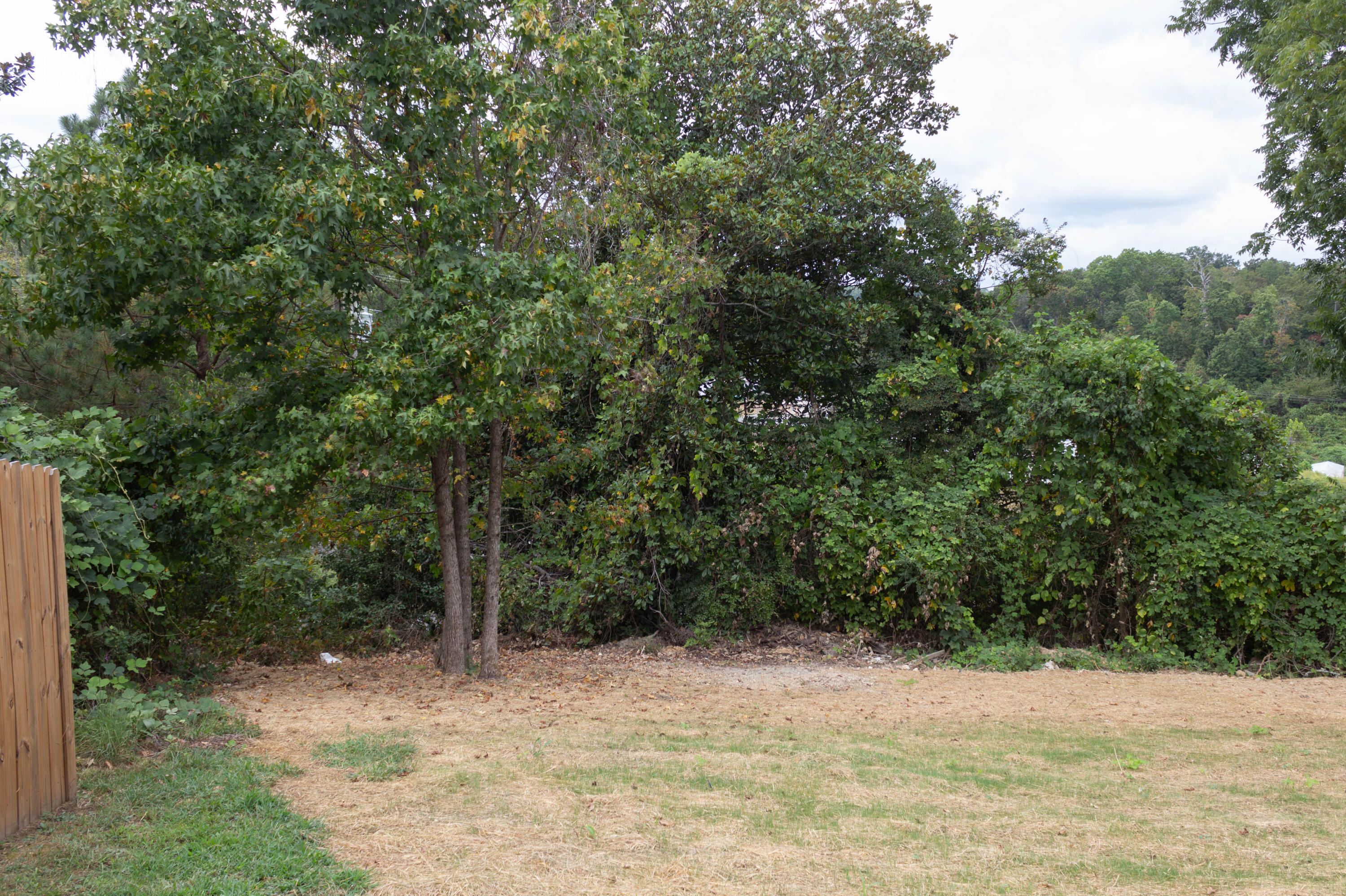 66 Battle Bluff Drive