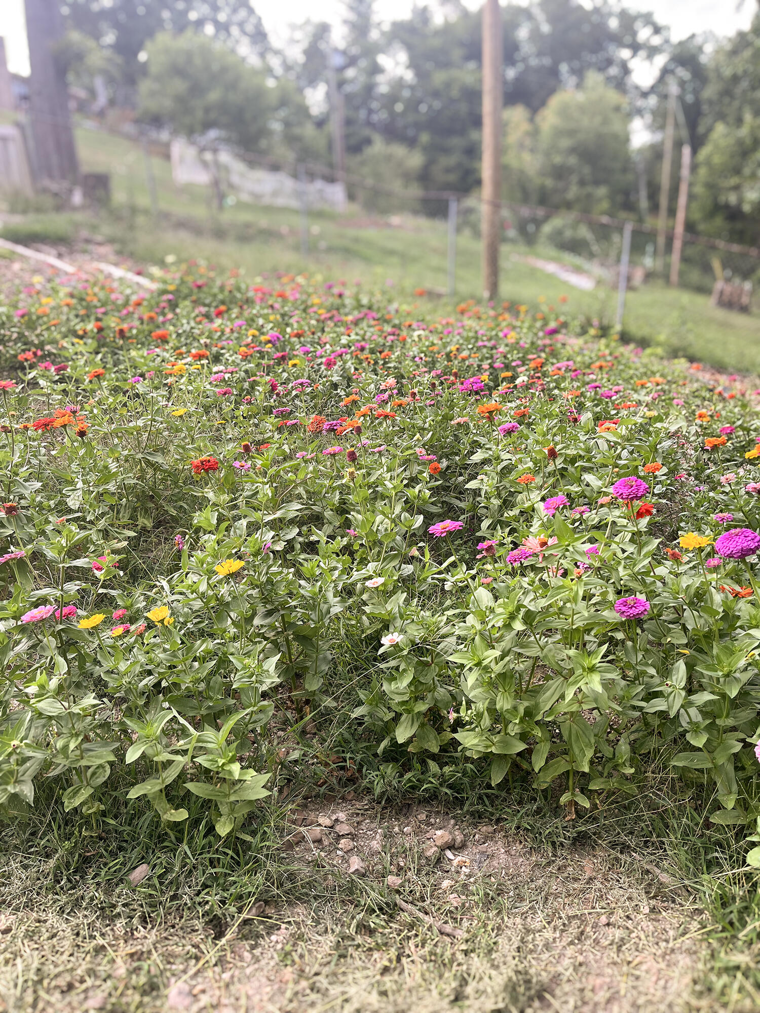 2124 Haven Crest Drive