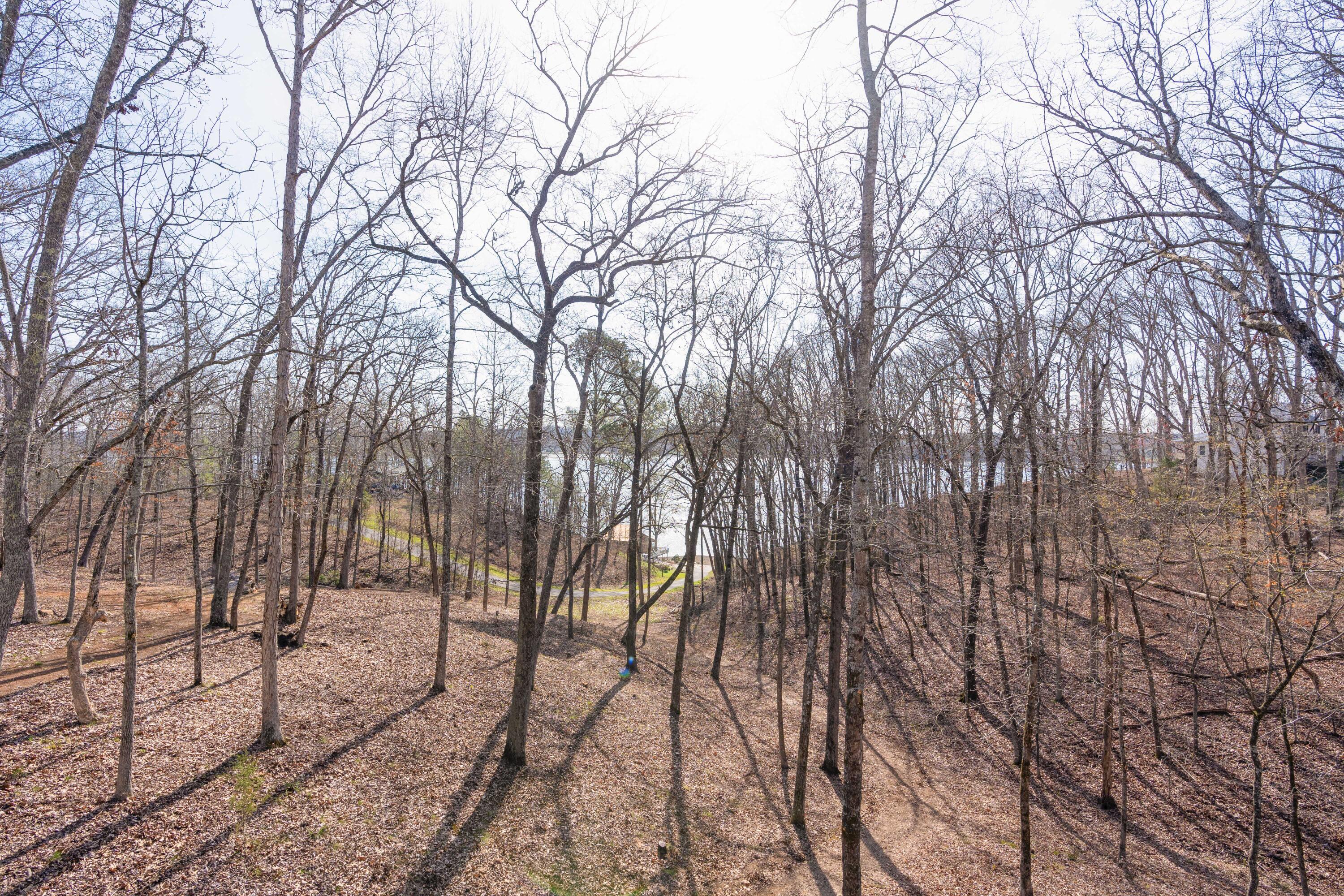 15903 Lakewood Drive