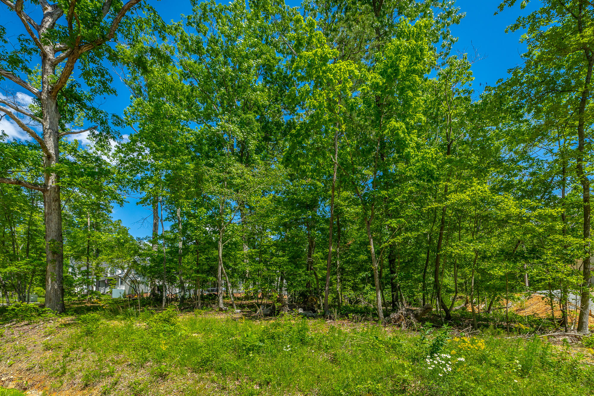 11548 Armstrong Road