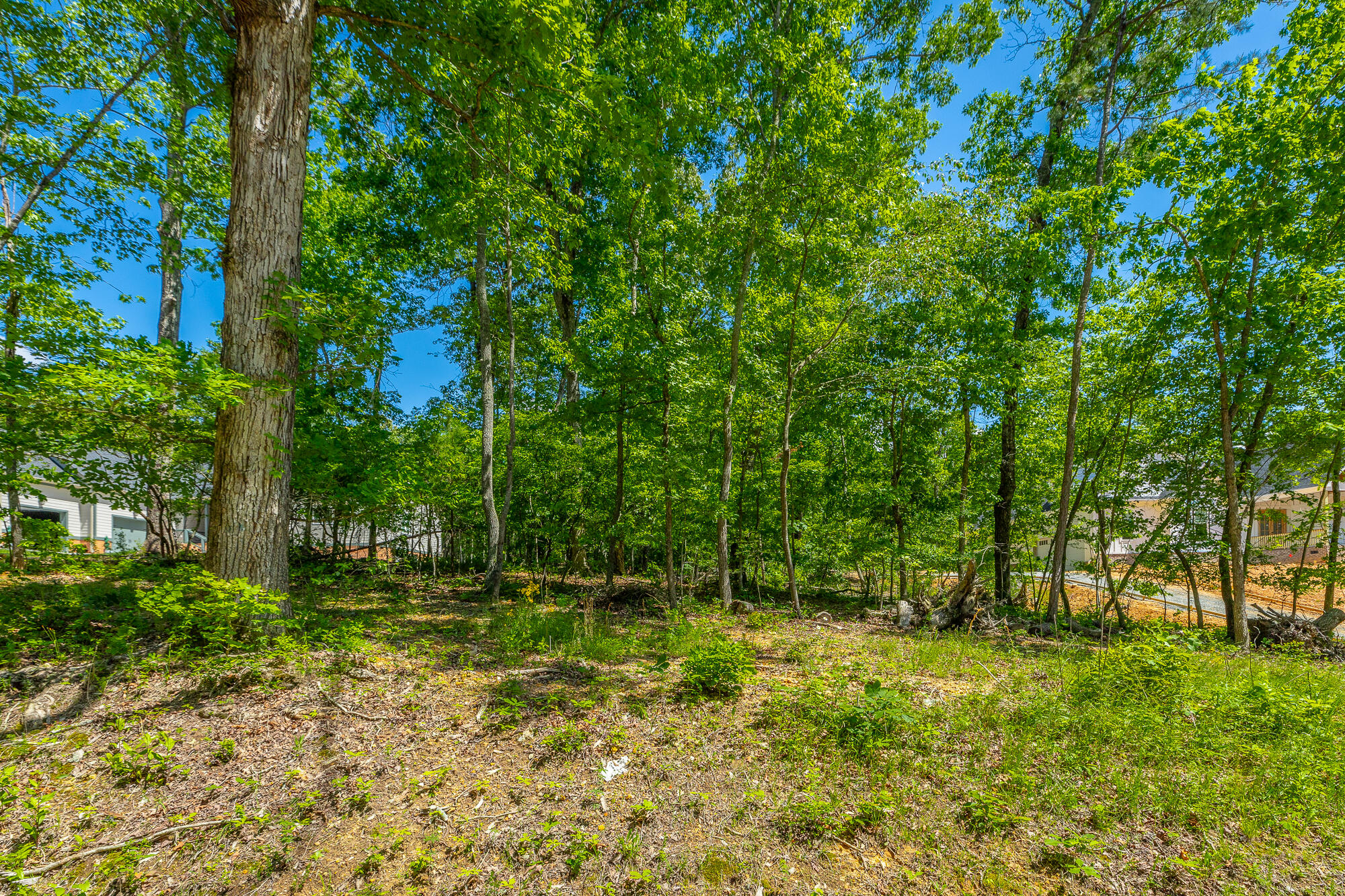 11548 Armstrong Road