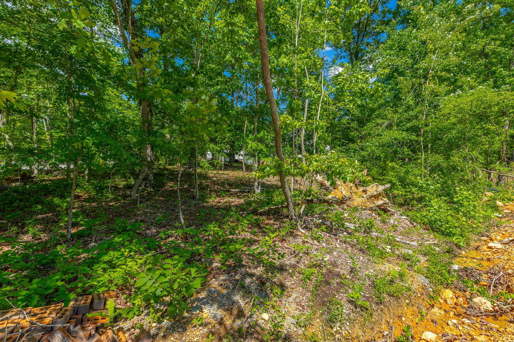 11548 Armstrong Road