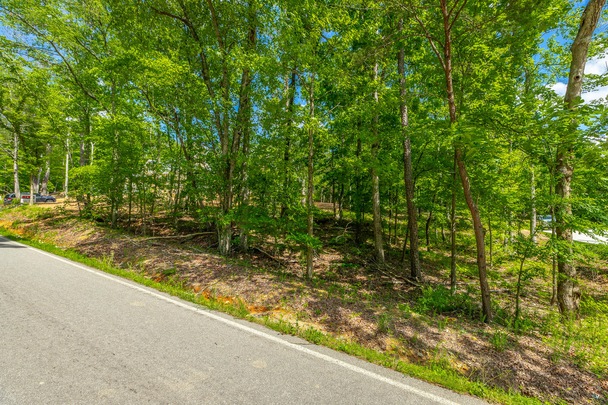 11564 Armstrong Road