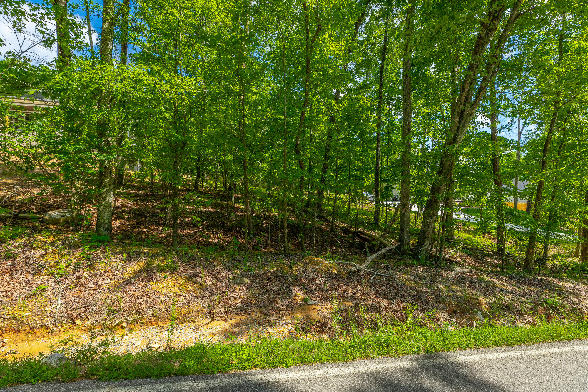 11564 Armstrong Road