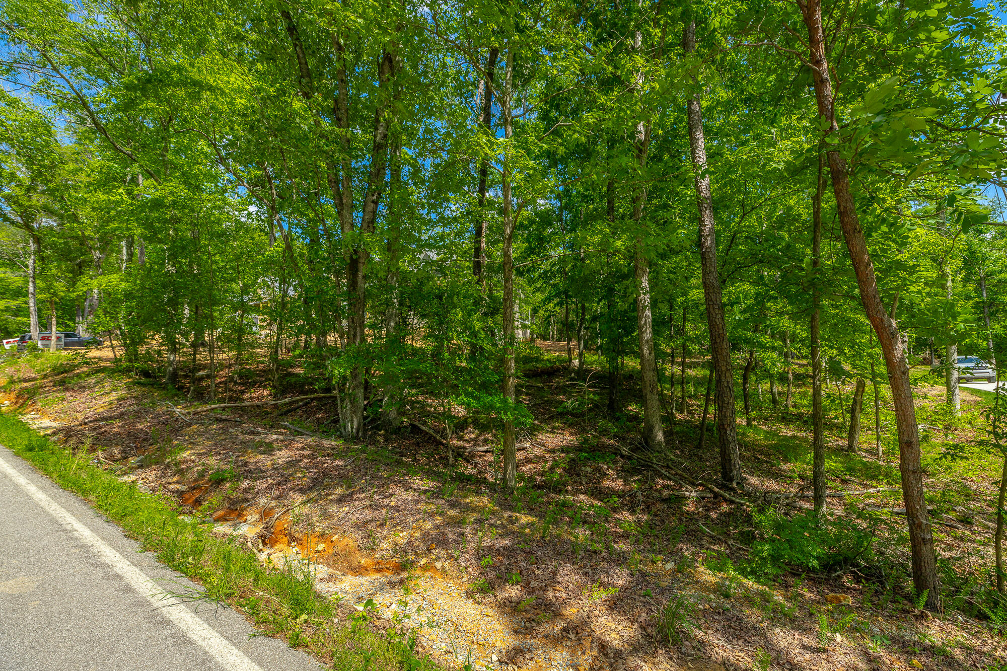 11564 Armstrong Road