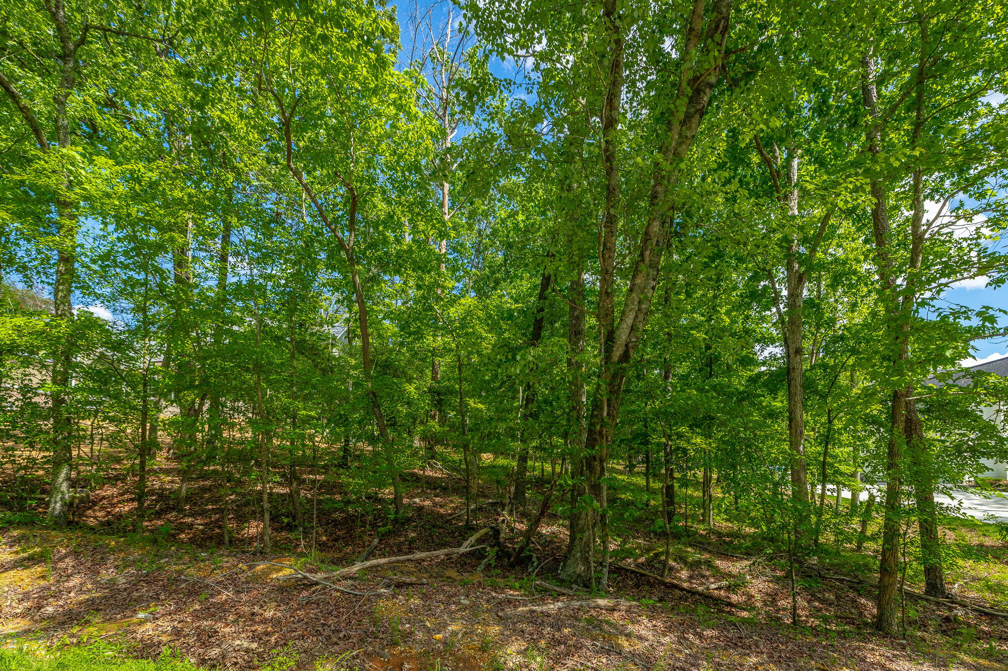 11564 Armstrong Road