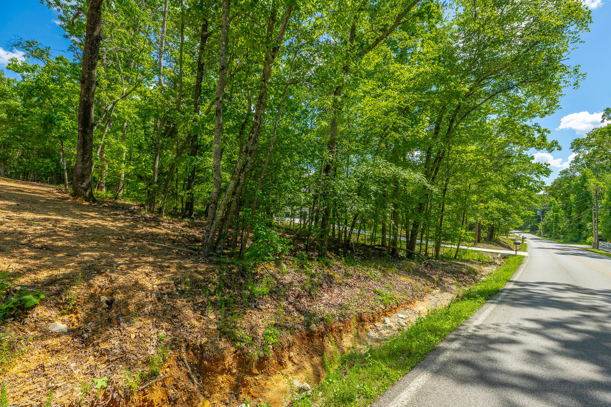 11564 Armstrong Road