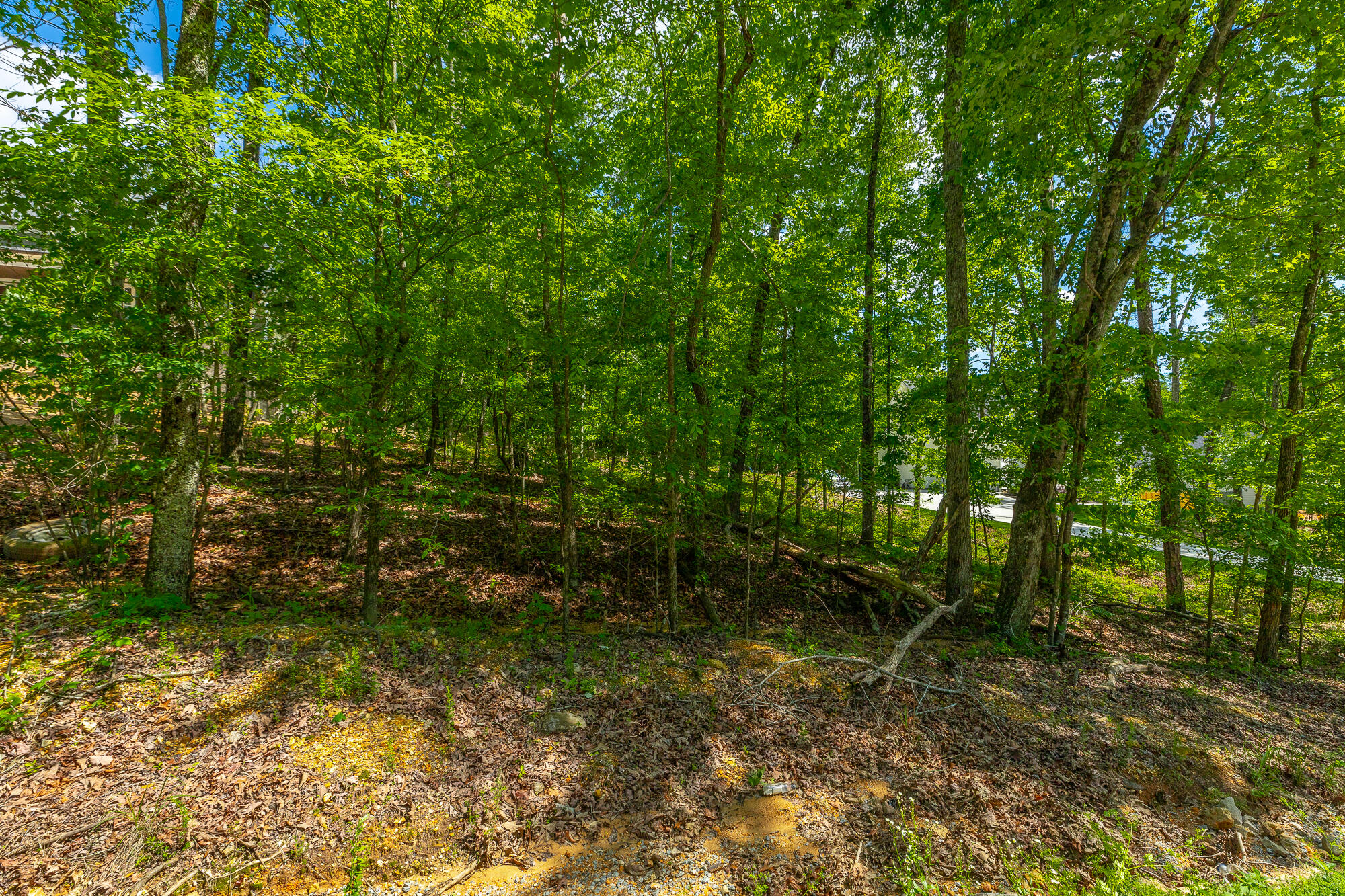 11564 Armstrong Road