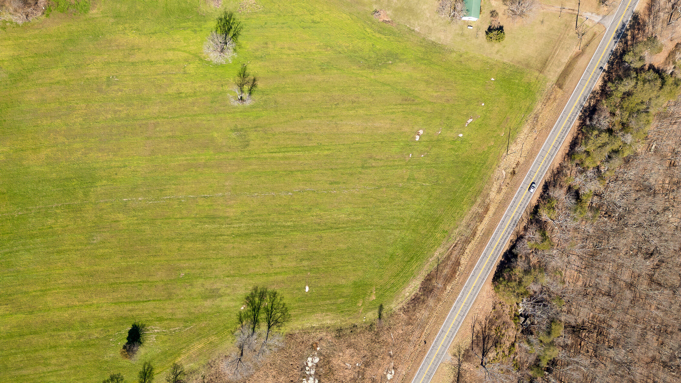 2725 S Ga 301 Highway