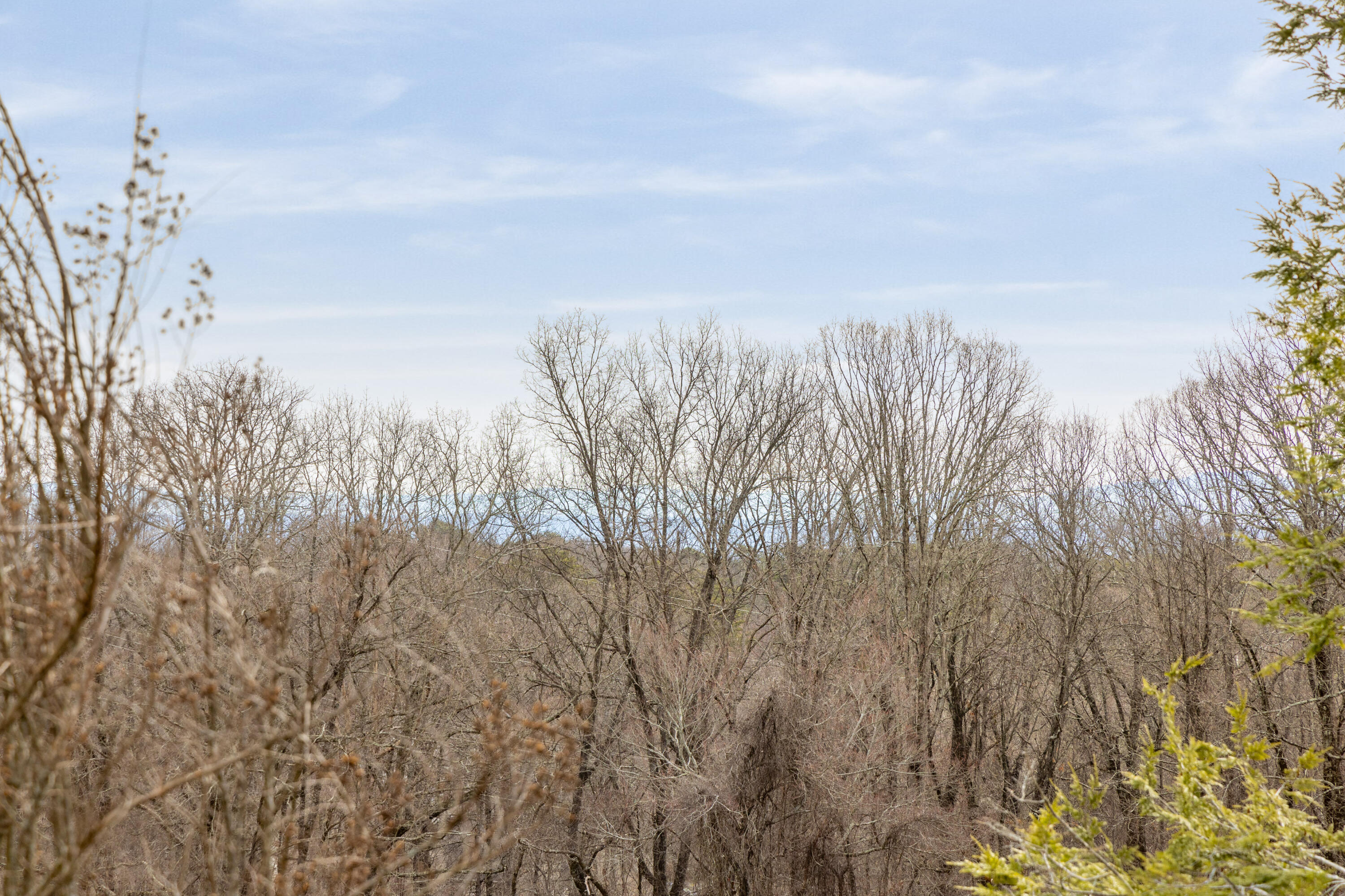 2204 Fairmount Pike