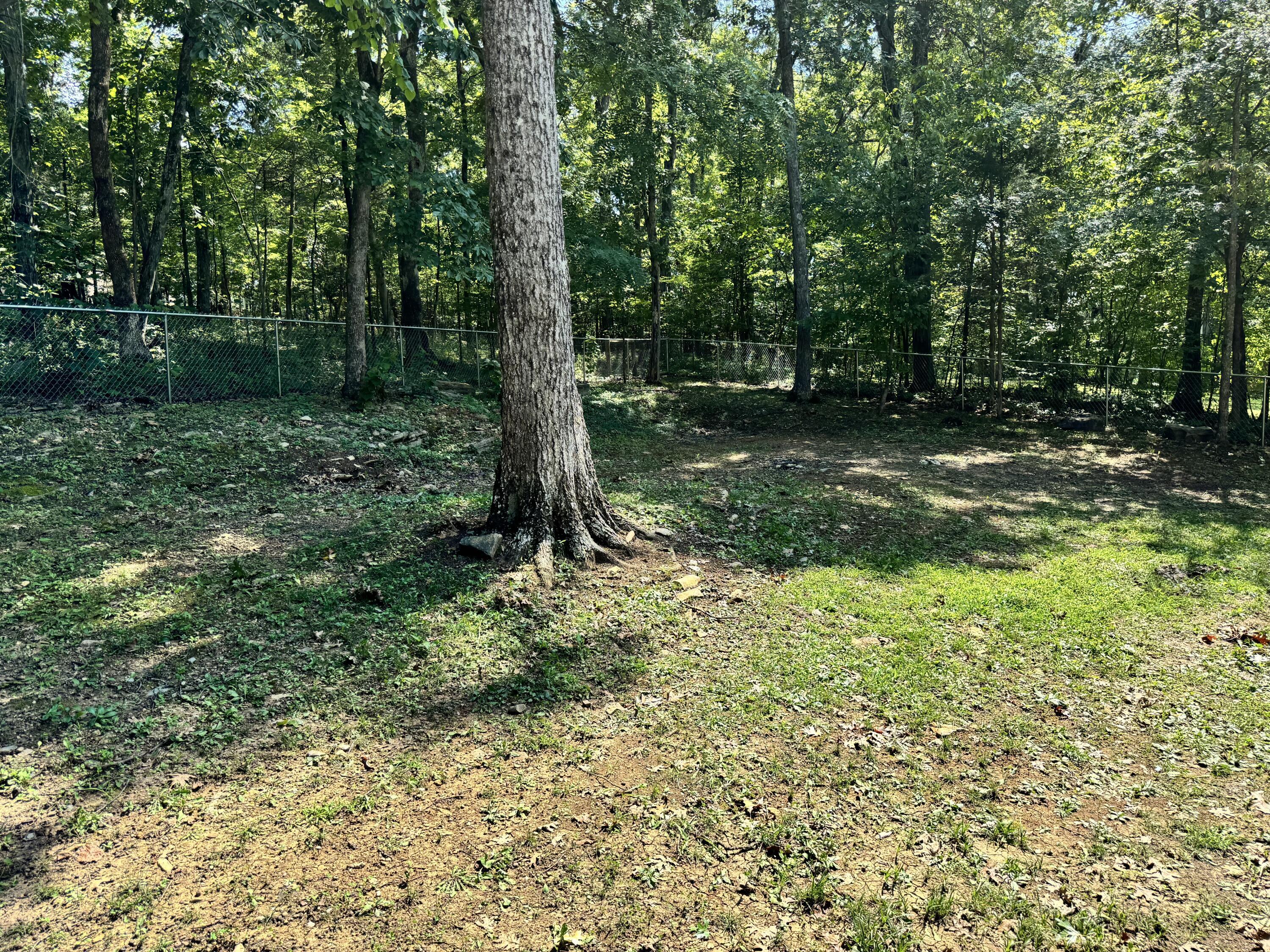 6353 Cardinal Lane NW