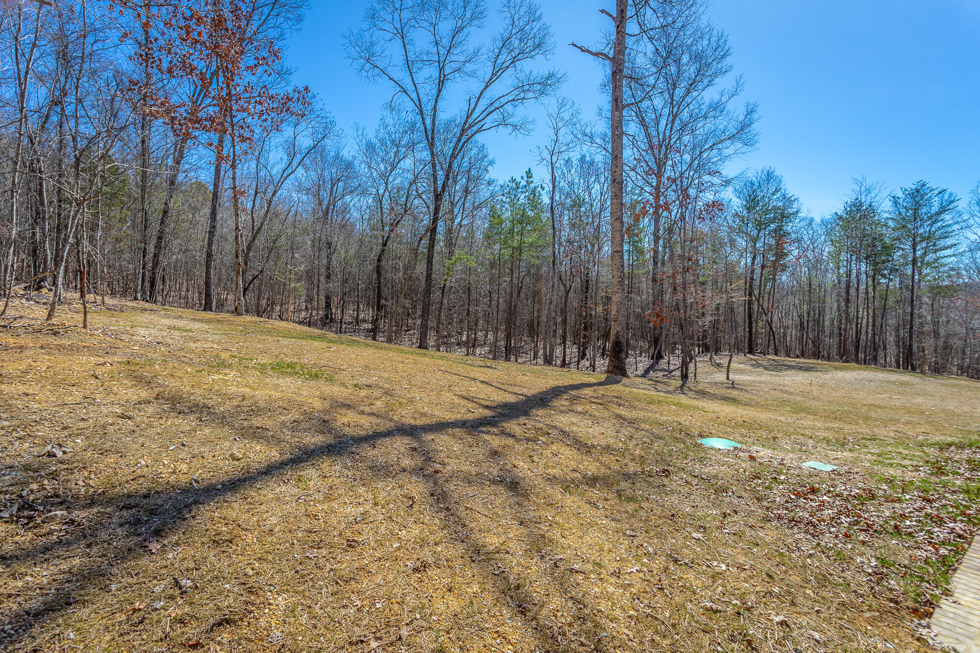 11582 Armstrong Road