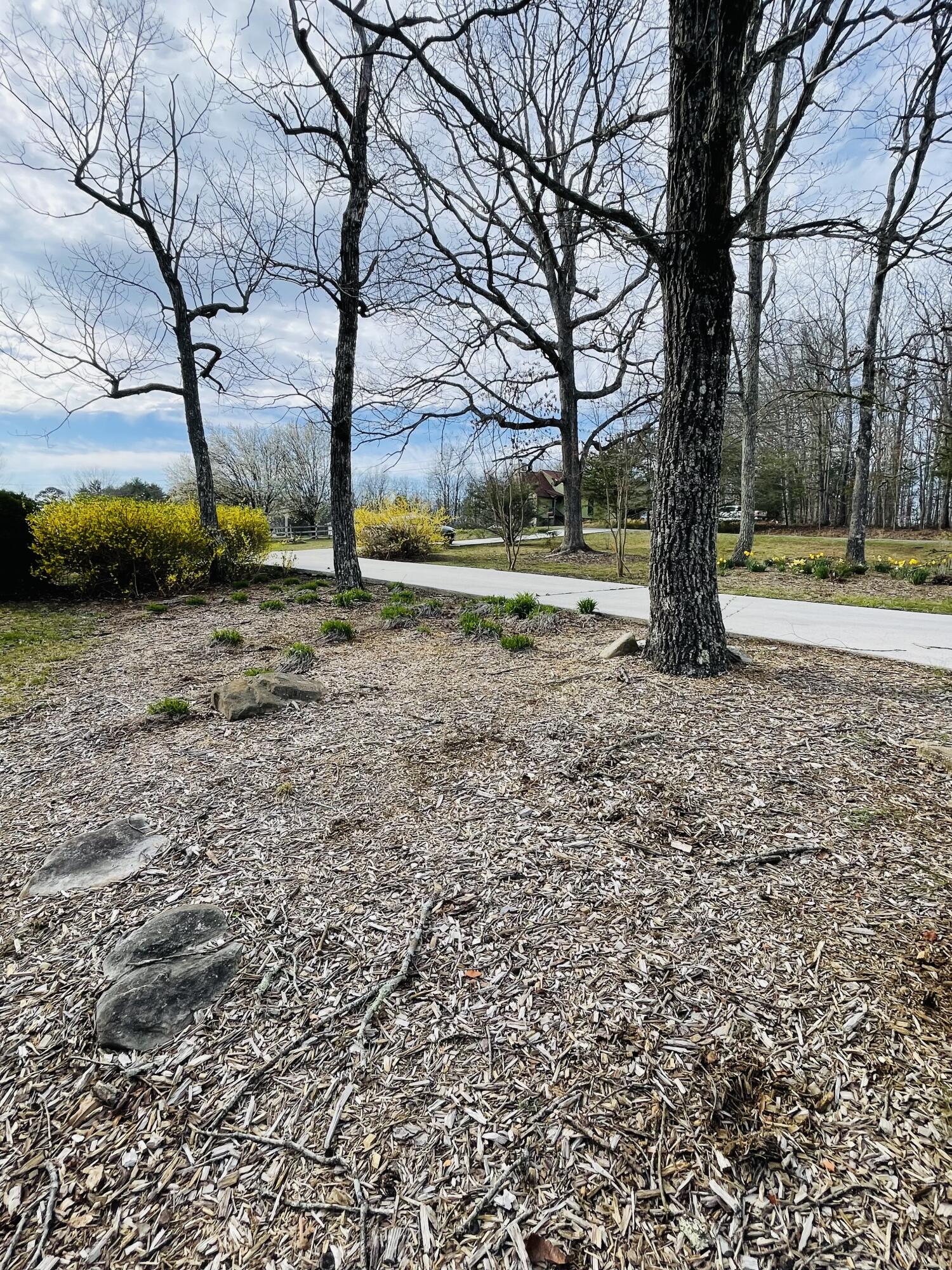 272 Windy Hollow Lane