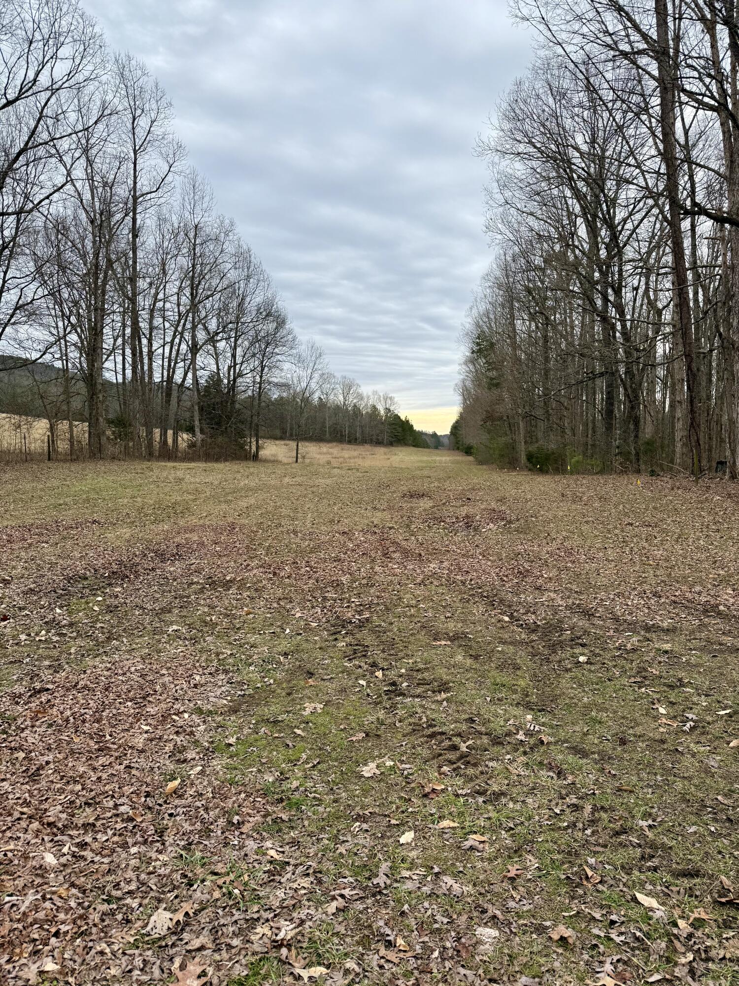 3401 Cantrell Road, LaFayette