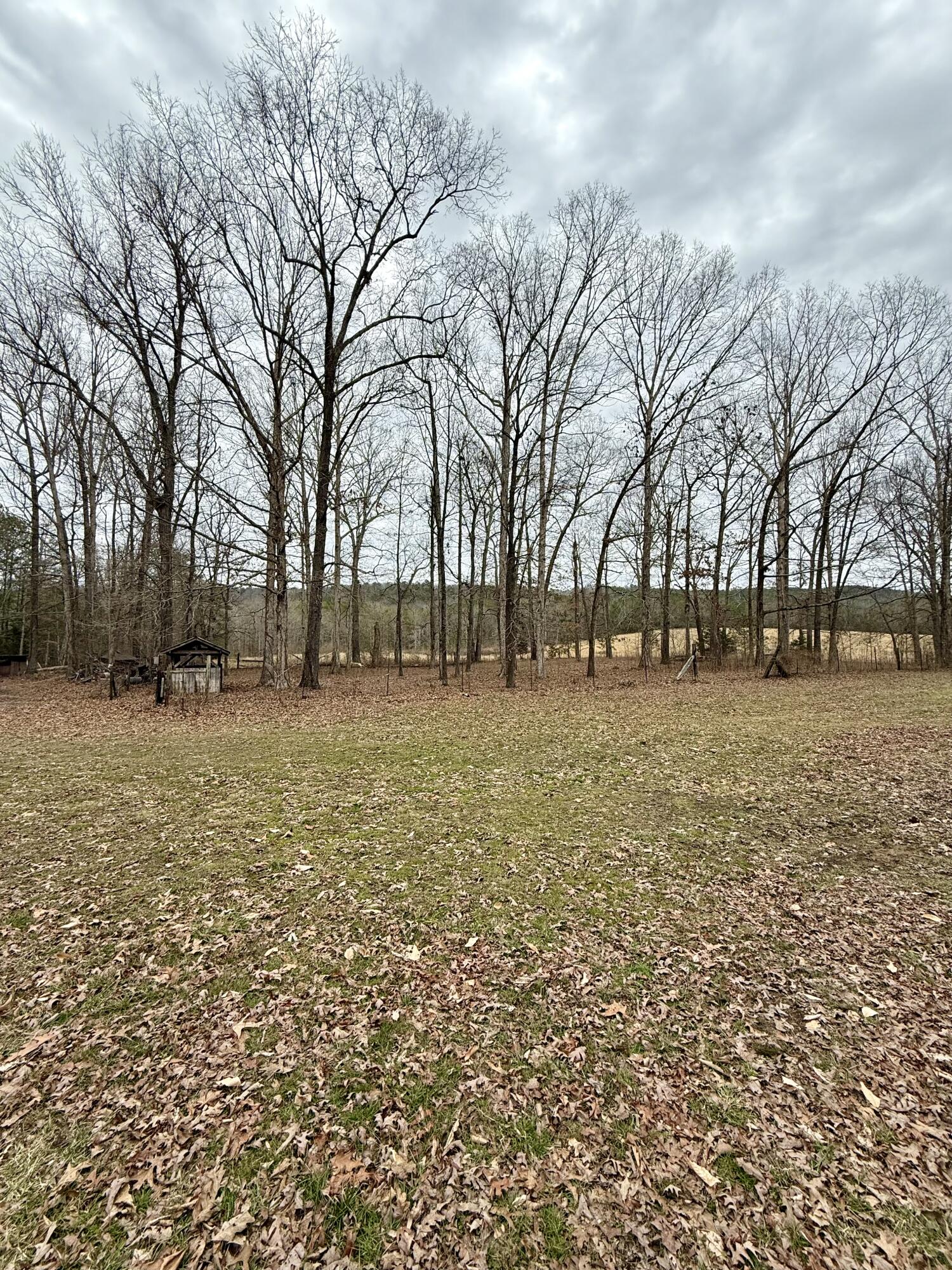 3401 Cantrell Road, LaFayette