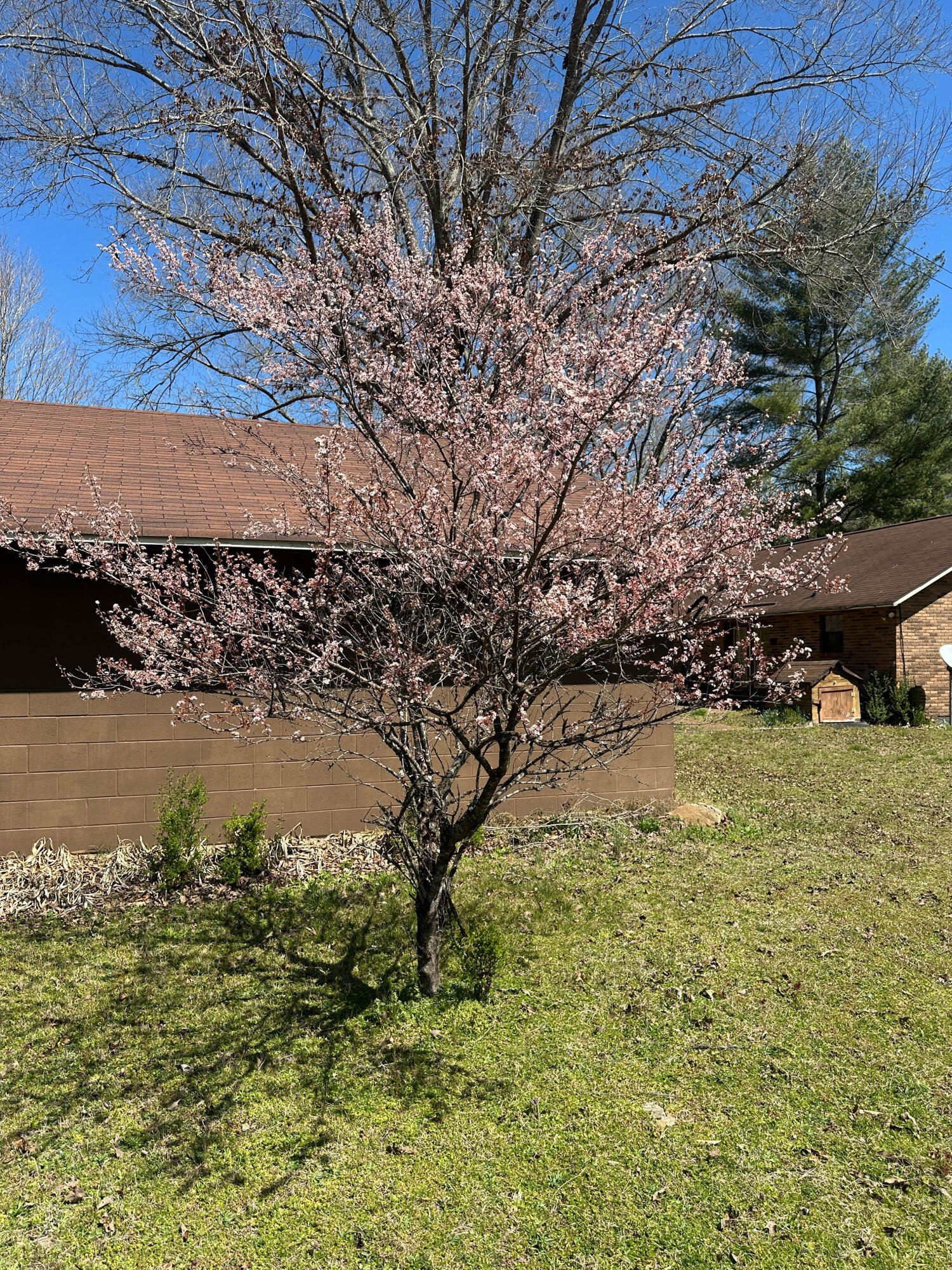 3261 Fiery Gizzard Road