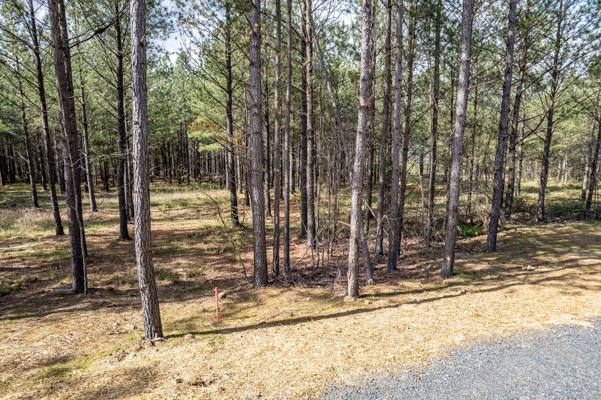 0 Worley Road, Lot 4