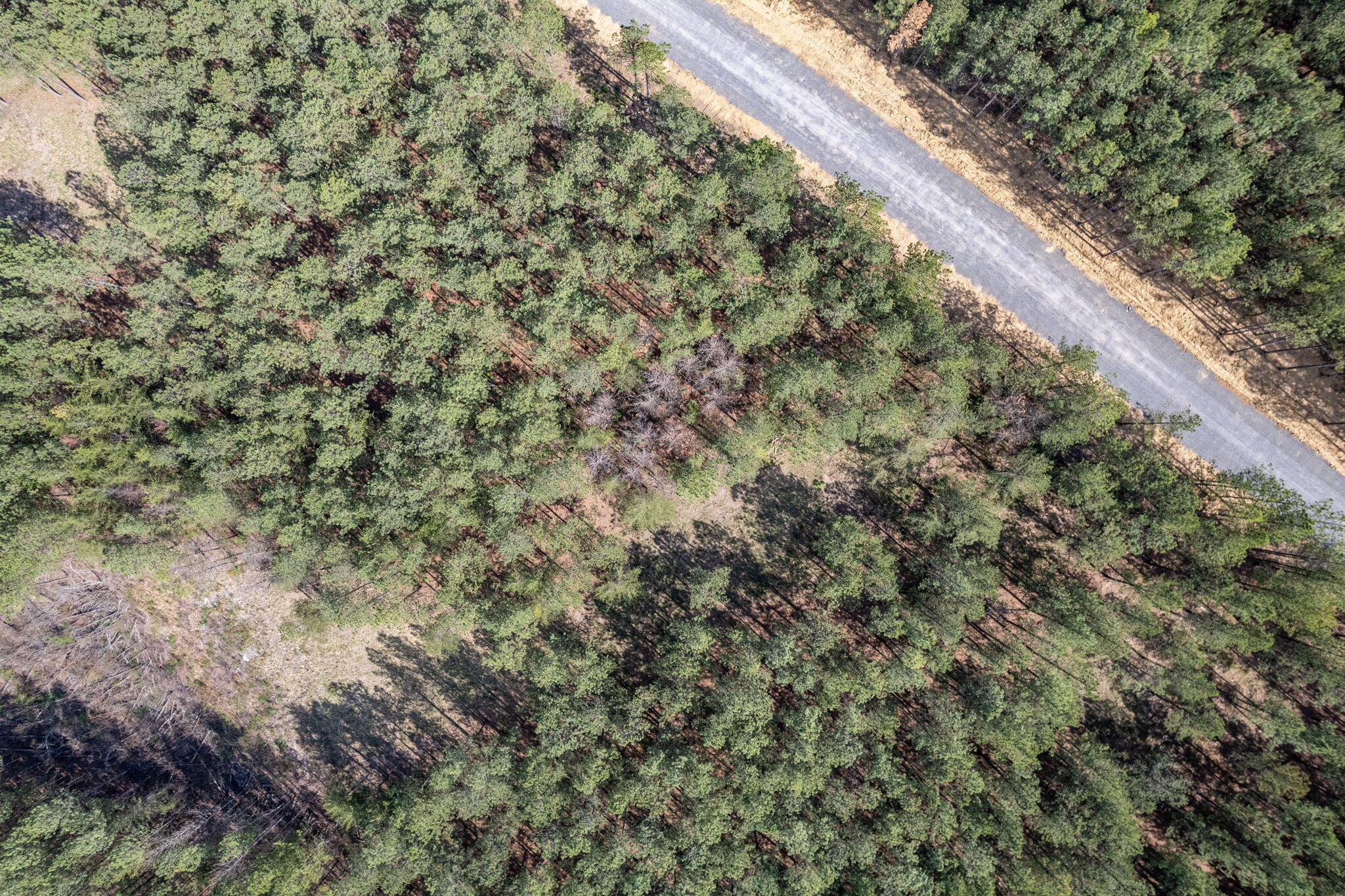 0 Worley Road, Lot 4