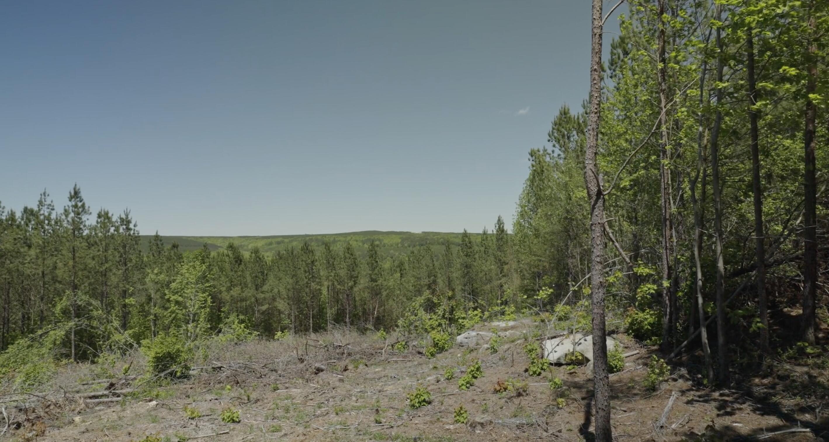 0 Worley Road, Lot 4