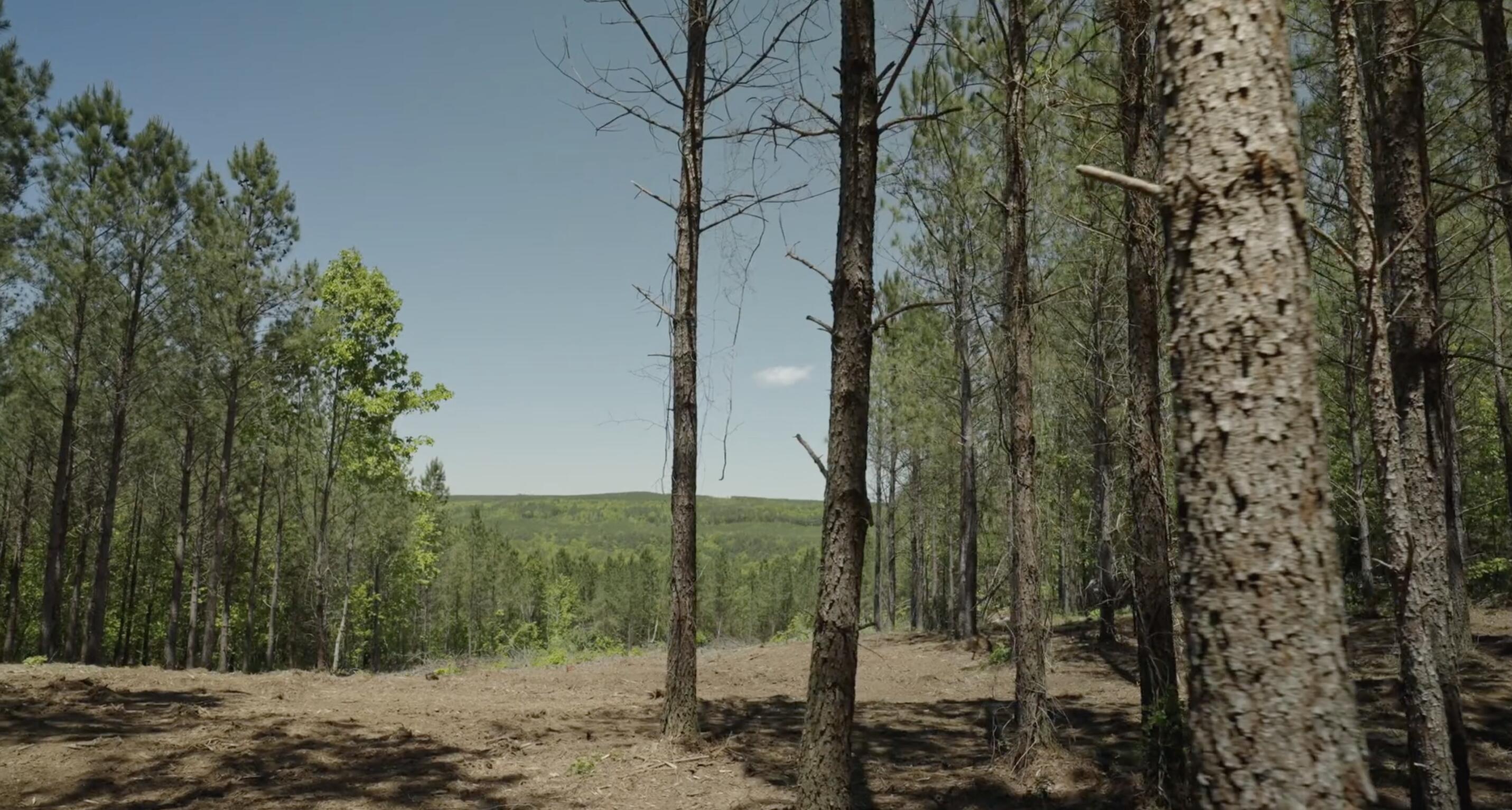 0 Worley Road, Lot 4