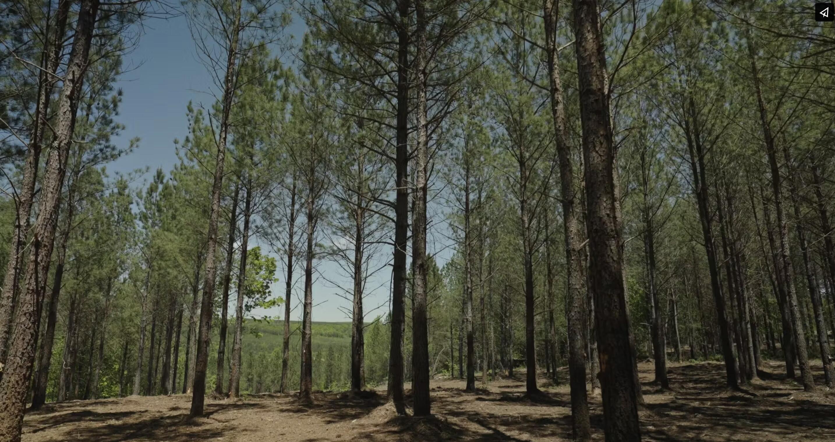 0 Worley Road, Lot 4