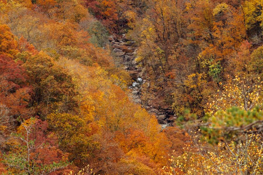 0 Worley Road, Lot 4