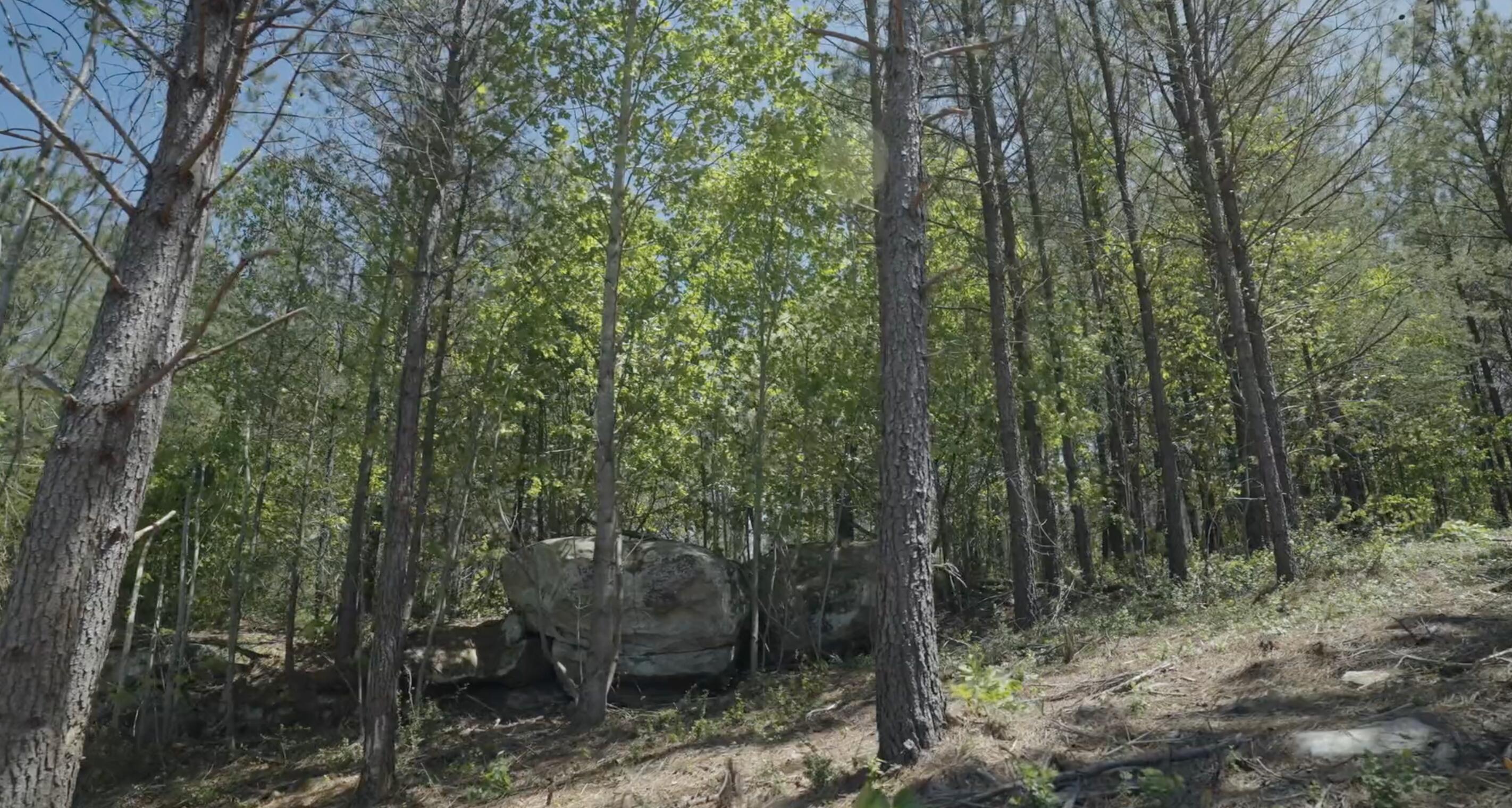 0 Worley Road, Lot 4